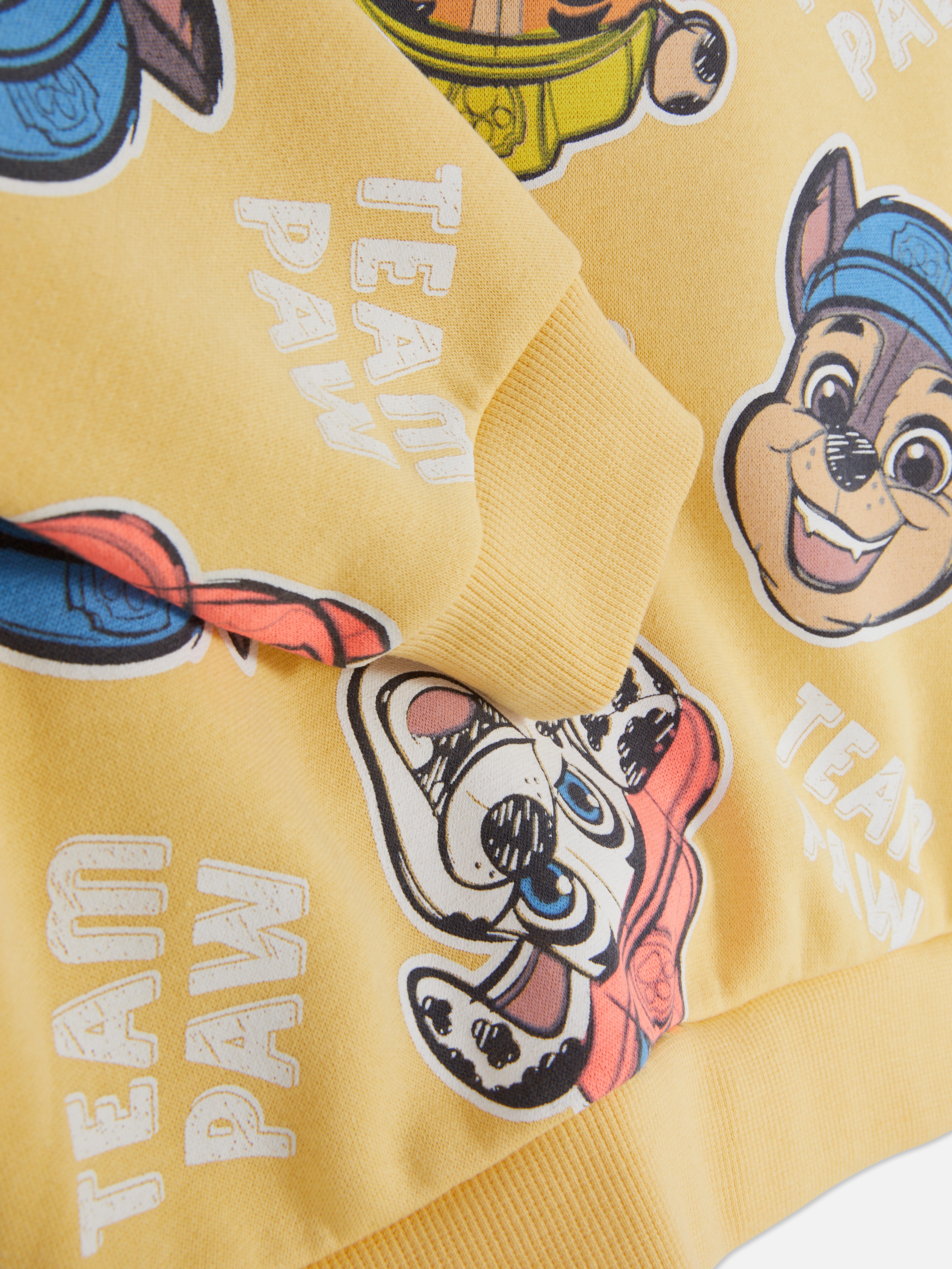 Felpa con cappuccio e grafica PAW Patrol