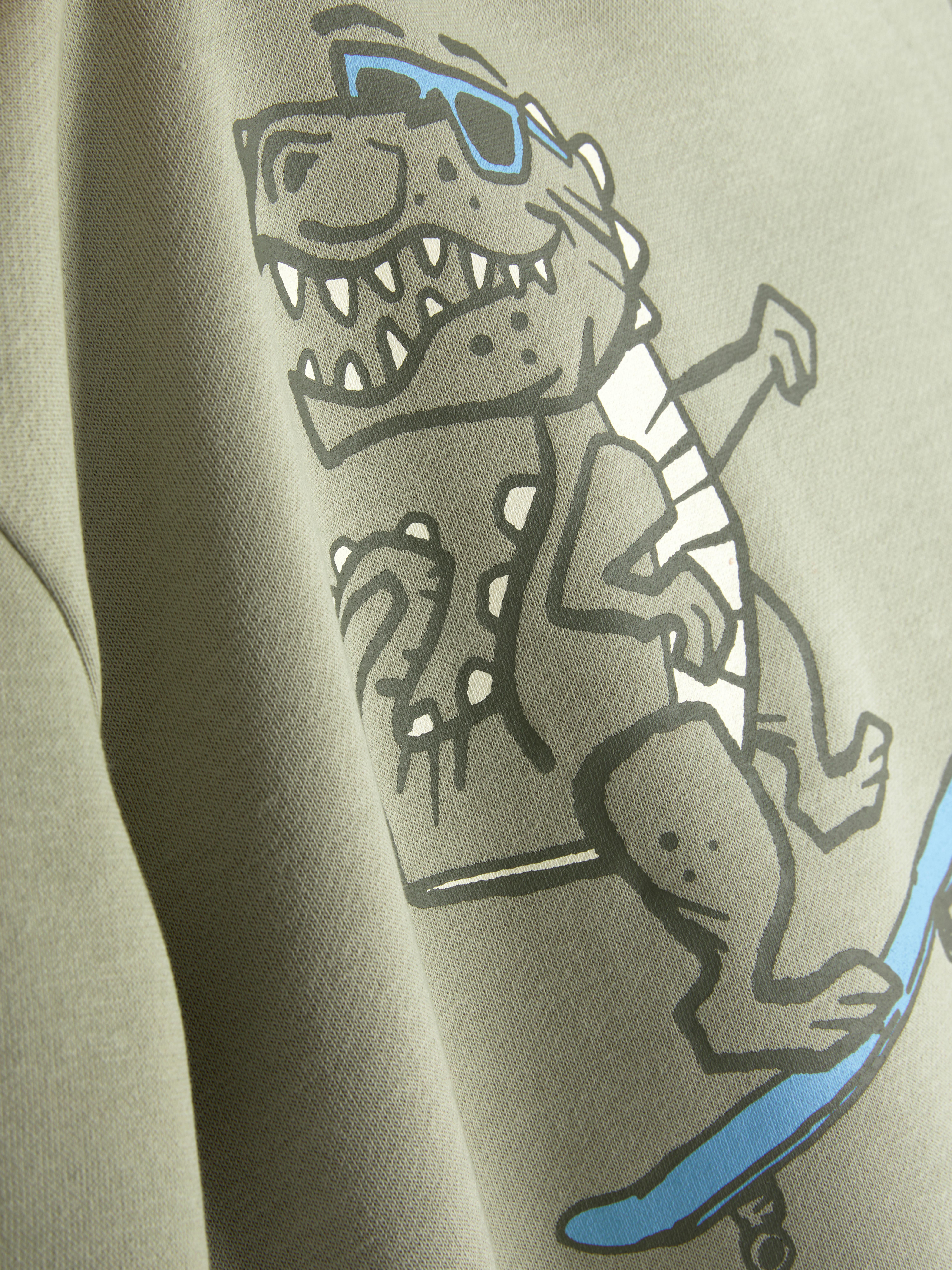 Graphic Pullover Hoodie