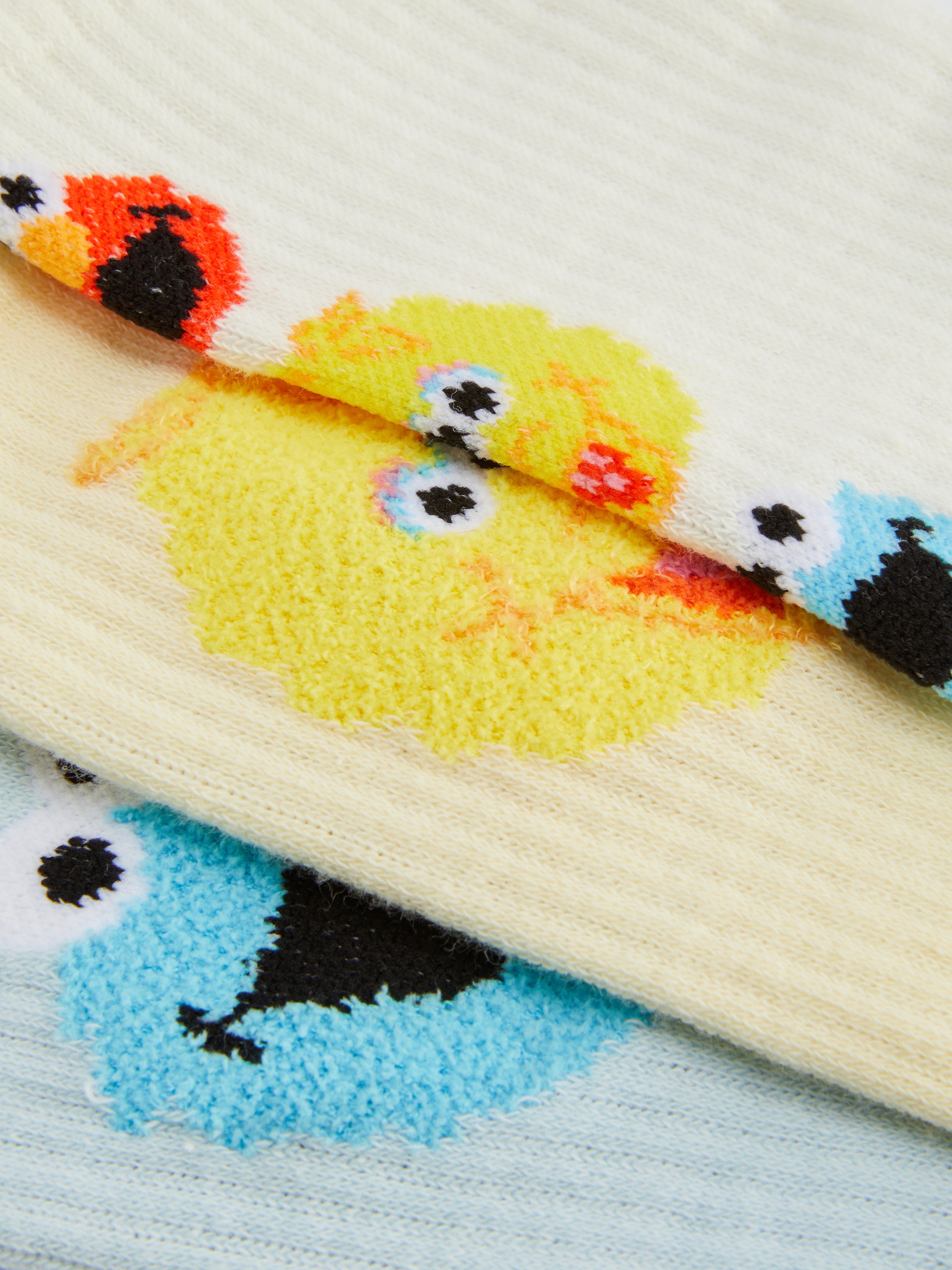 Confezione da 3 paia di calzettoni Sesame Street