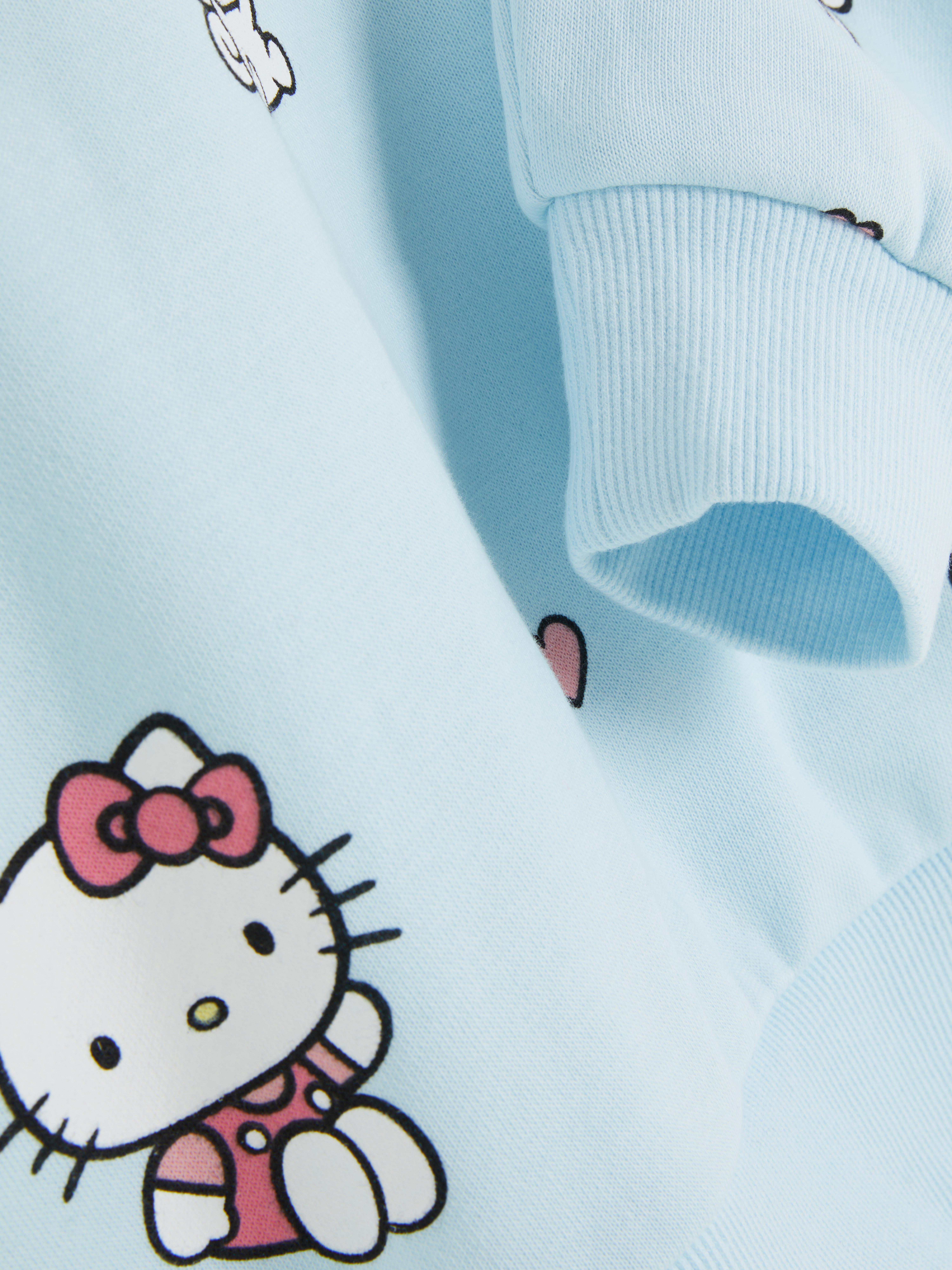 Felpa con grafica Hello Kitty and Friends