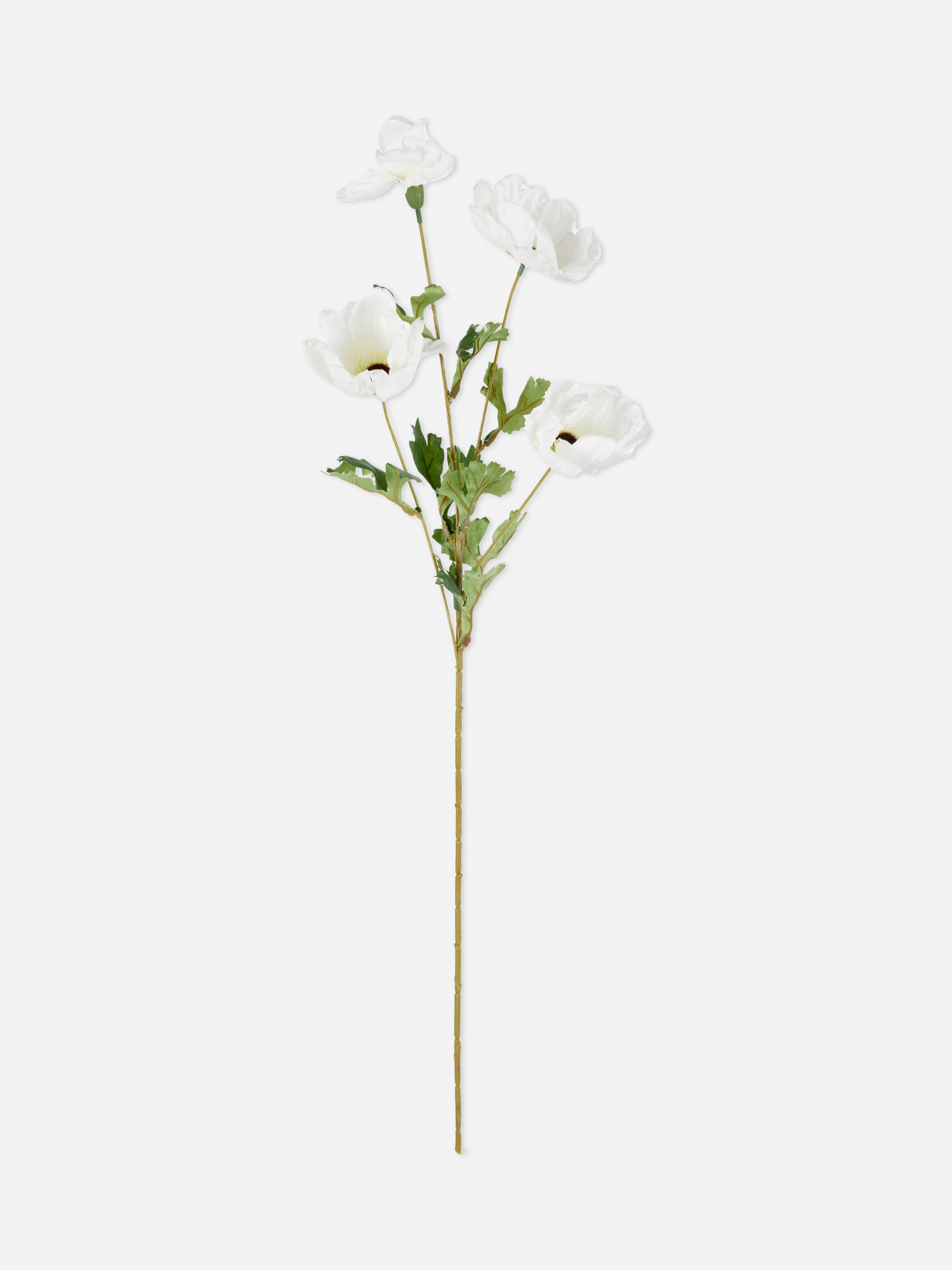 Cosmos artificiale a stelo singolo
