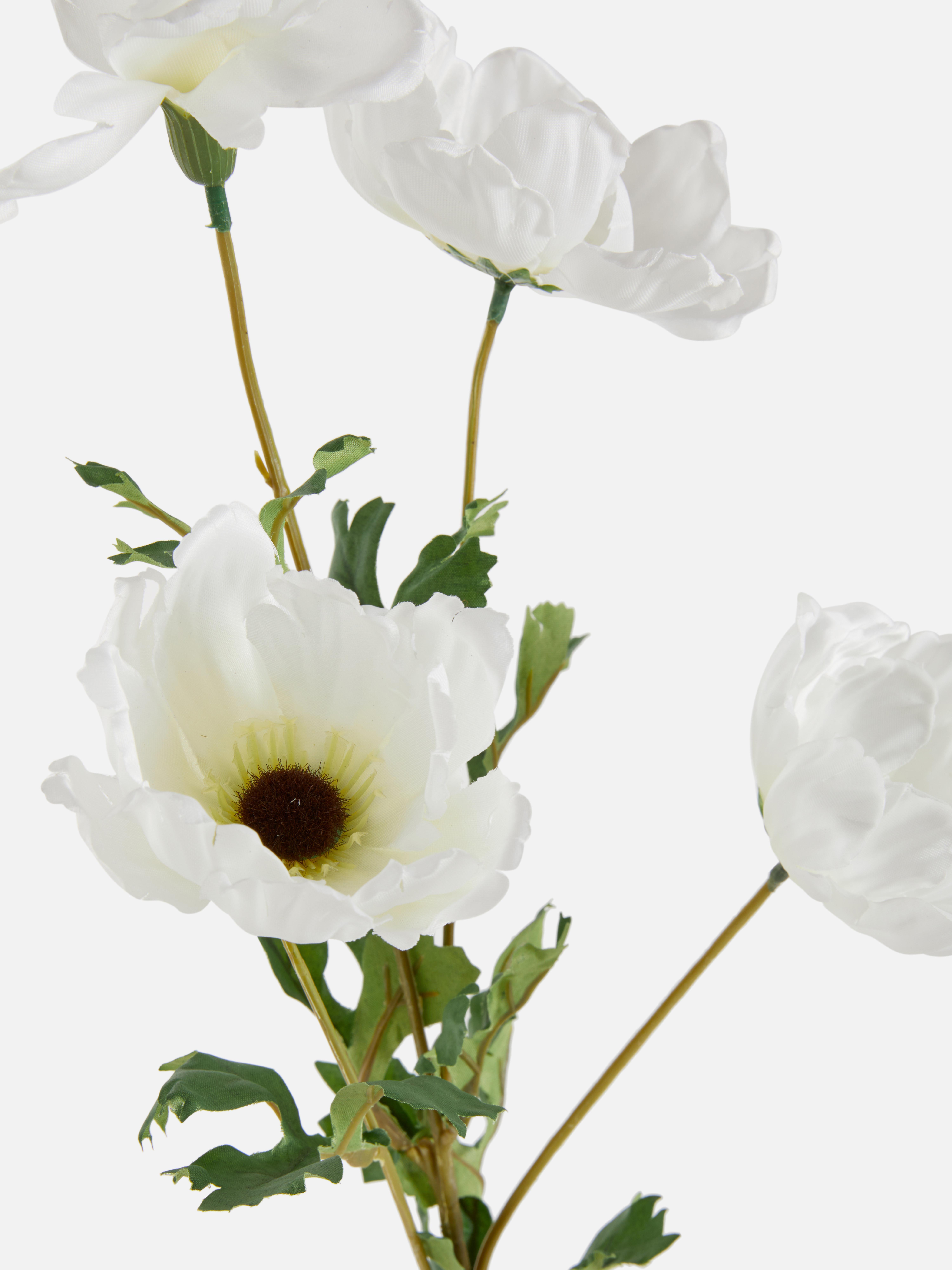 Cosmos artificiale a stelo singolo