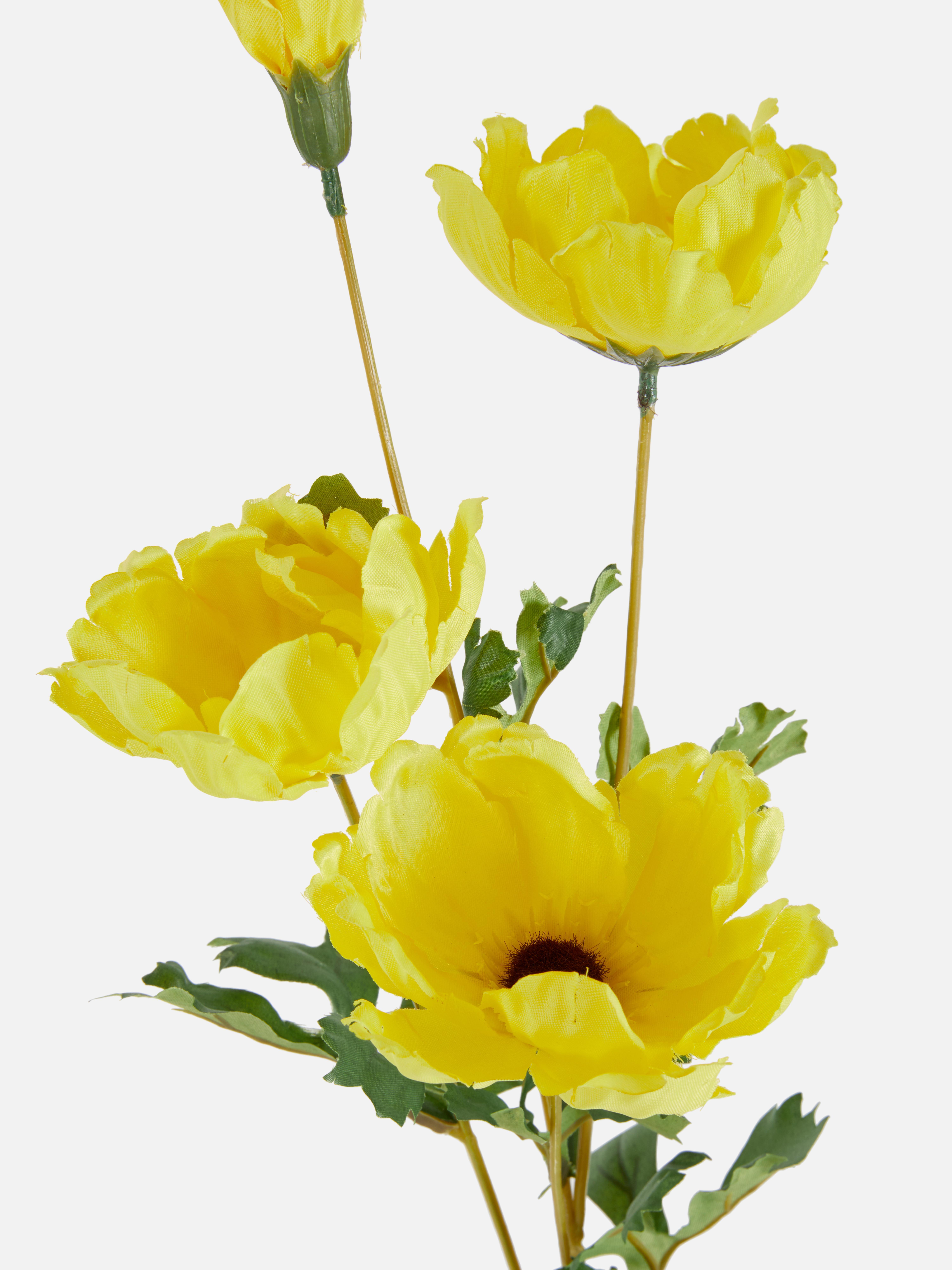 Cosmos artificiale a stelo singolo