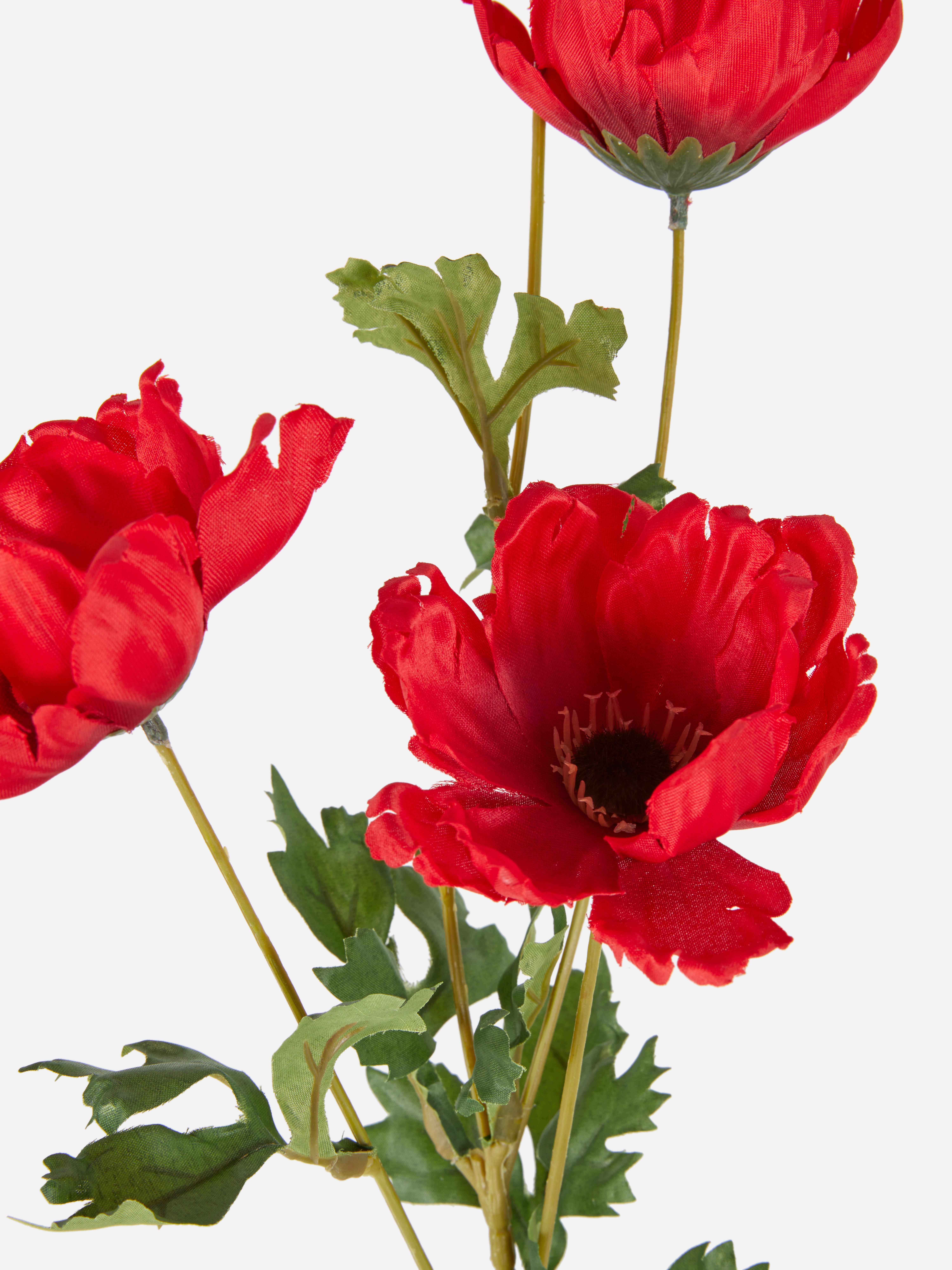 Cosmos artificiale a stelo singolo