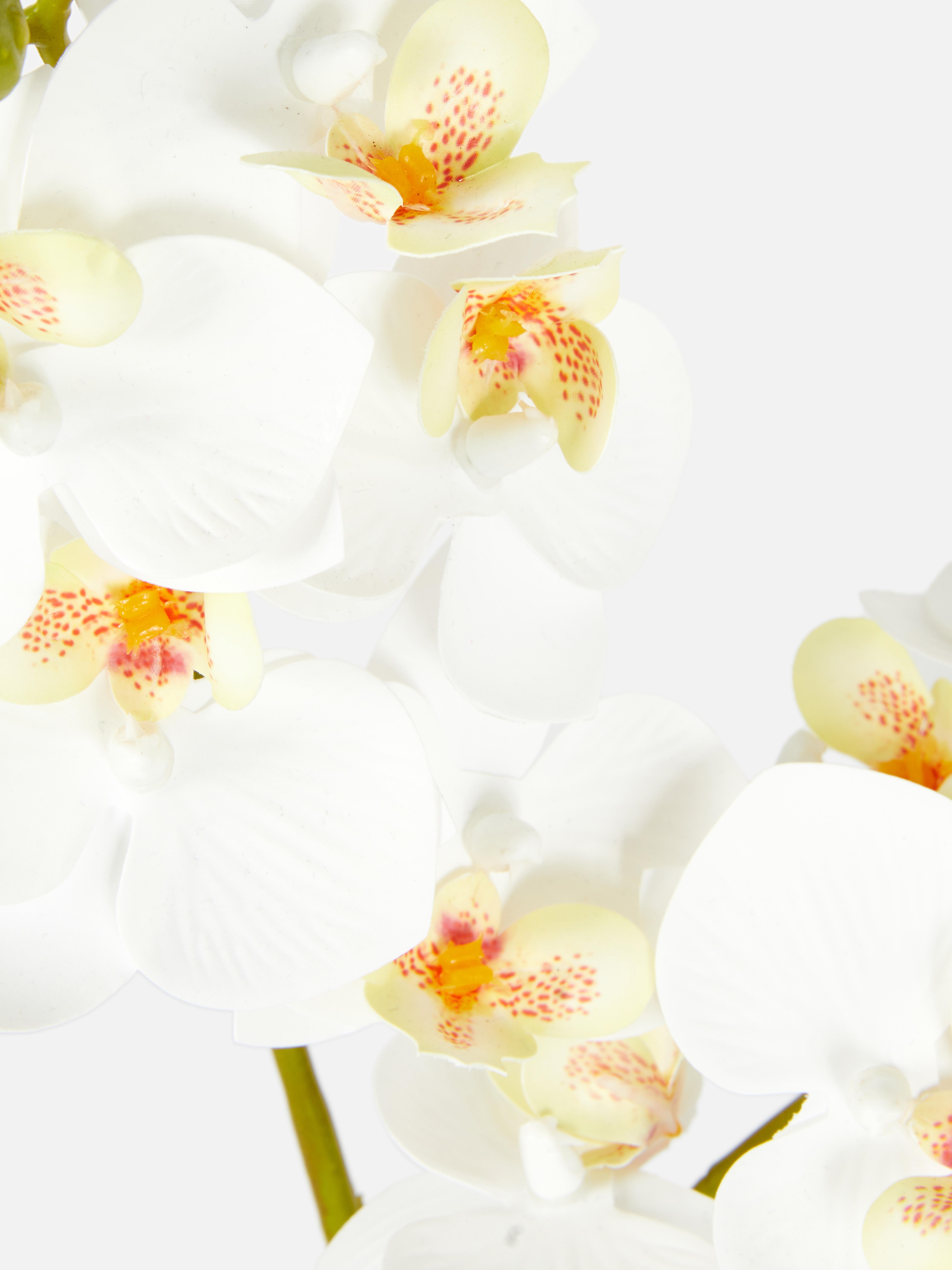 Arrangement d'orchidées artificielles