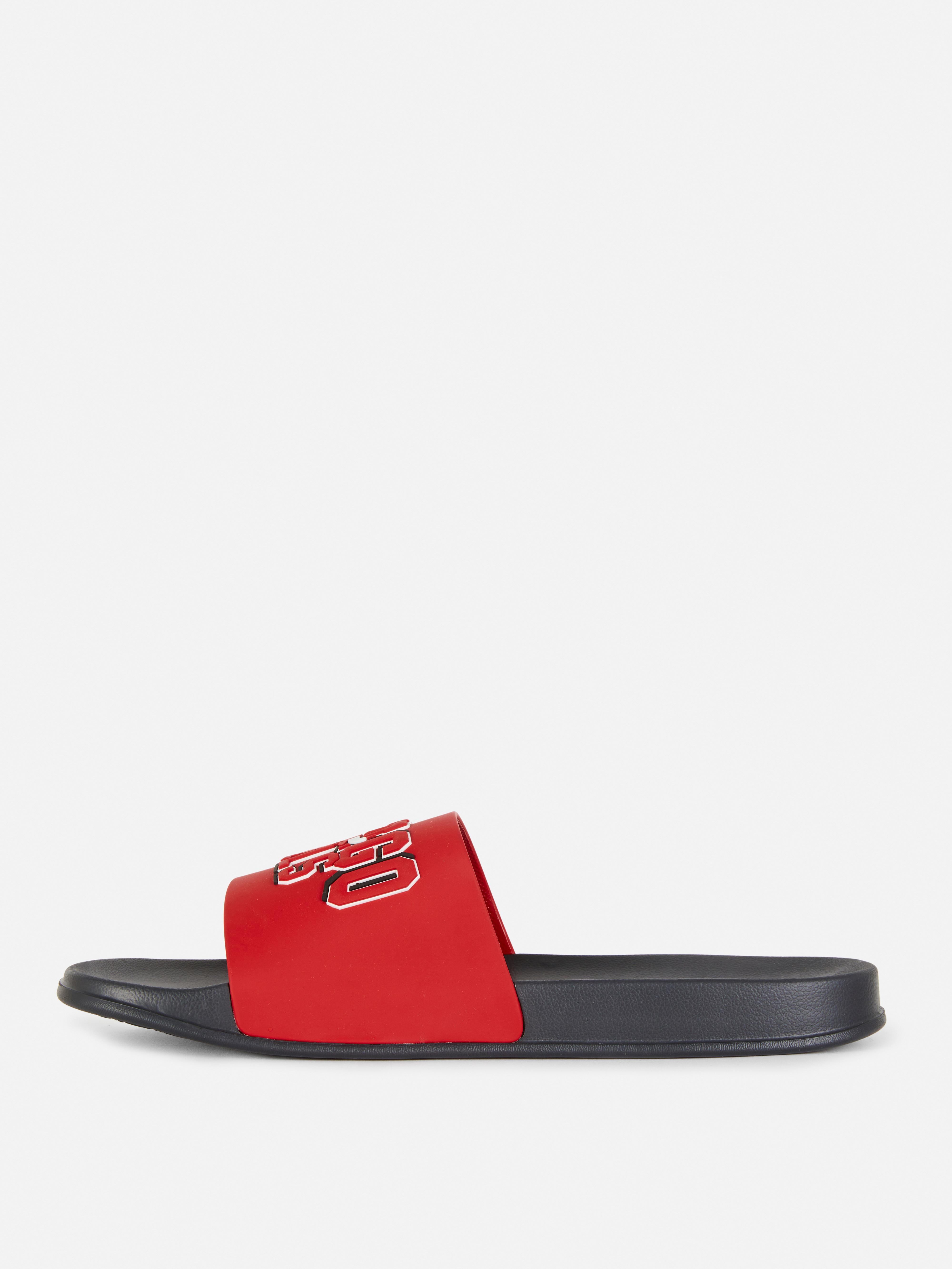 NBA Chicago Bulls Sliders