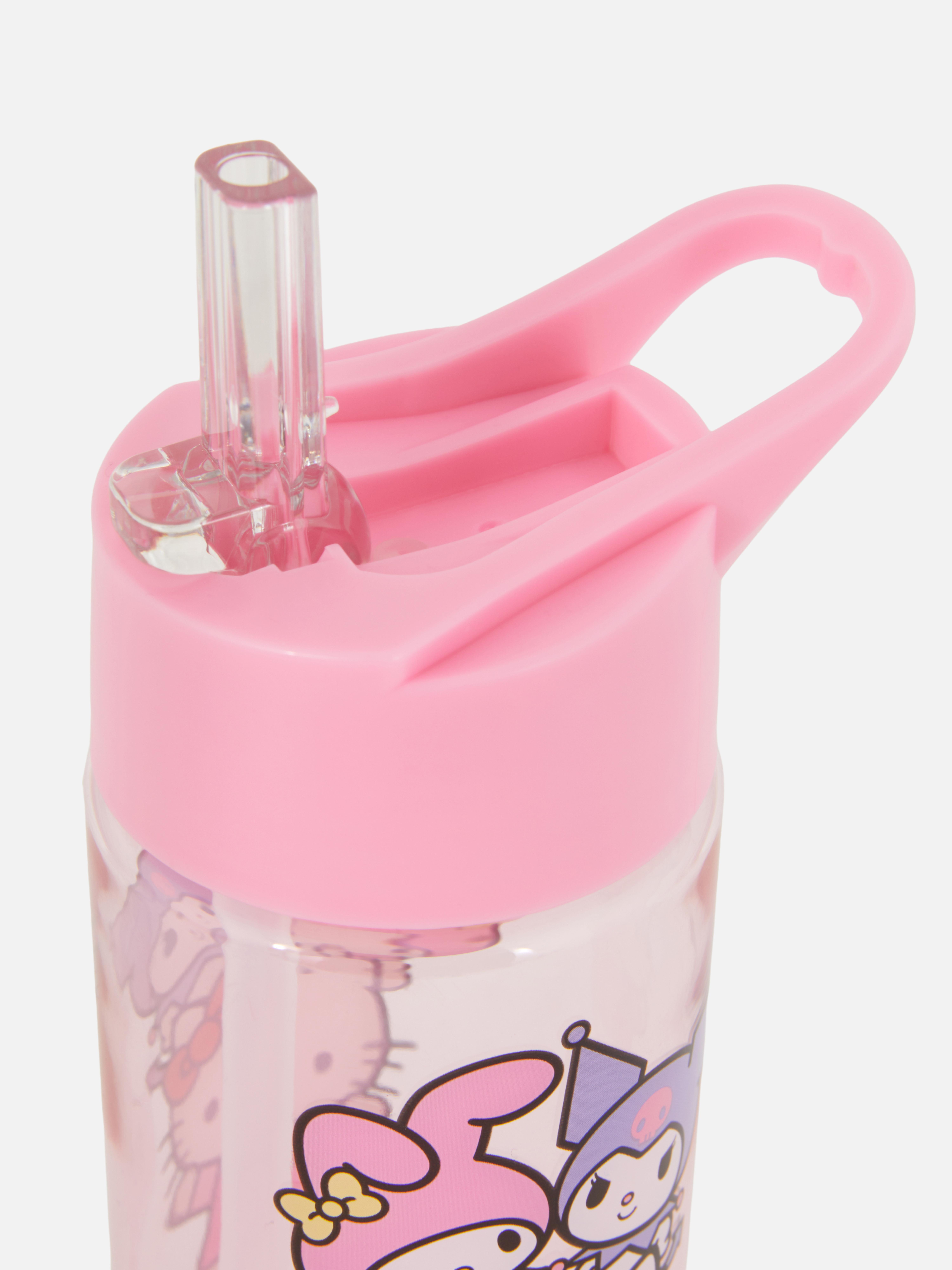 Hello Kitty And Friends Water Bottle