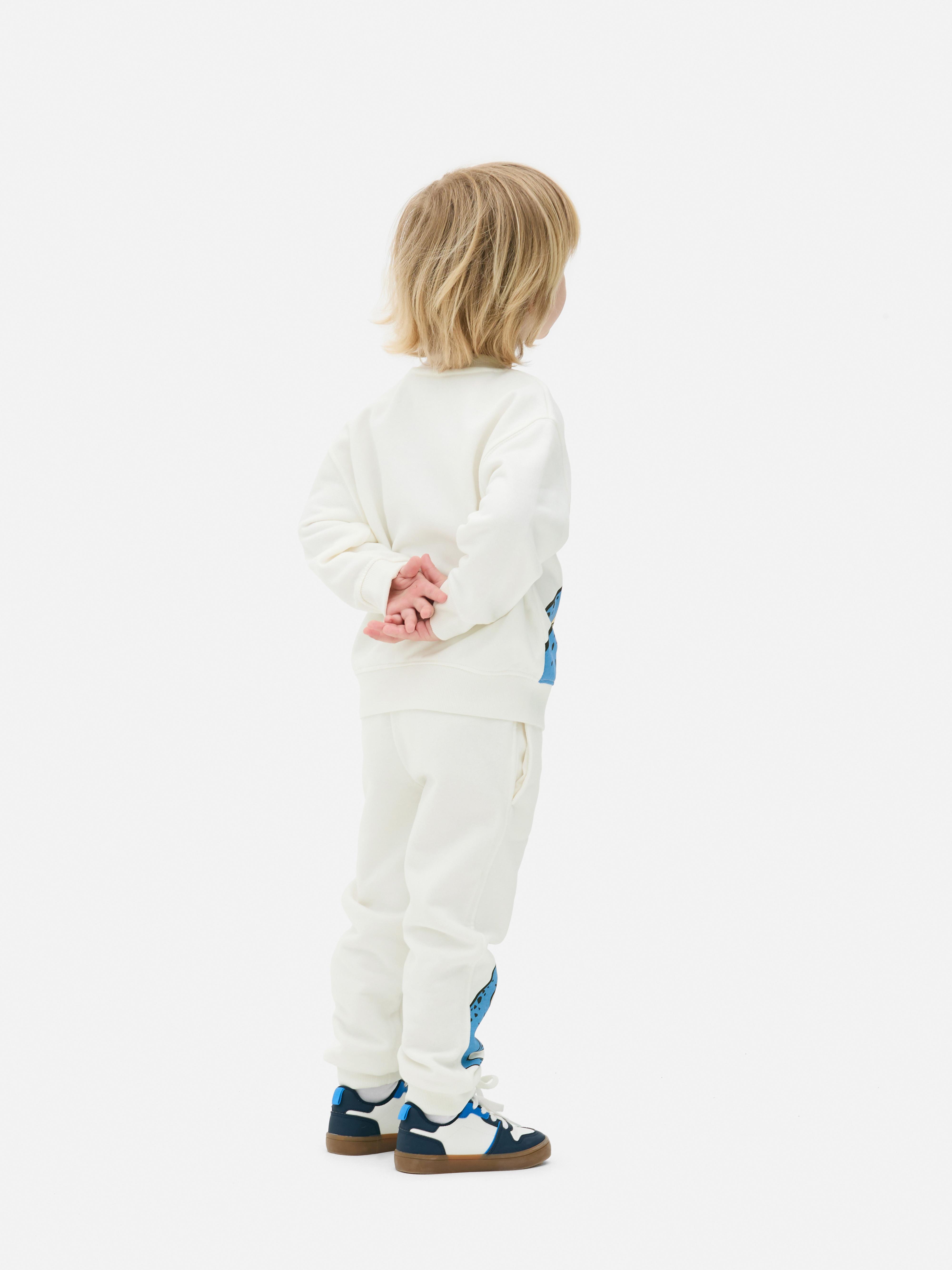 1.5-8yrs | Dinosaur Graphic Sweatshirt and Joggers Set