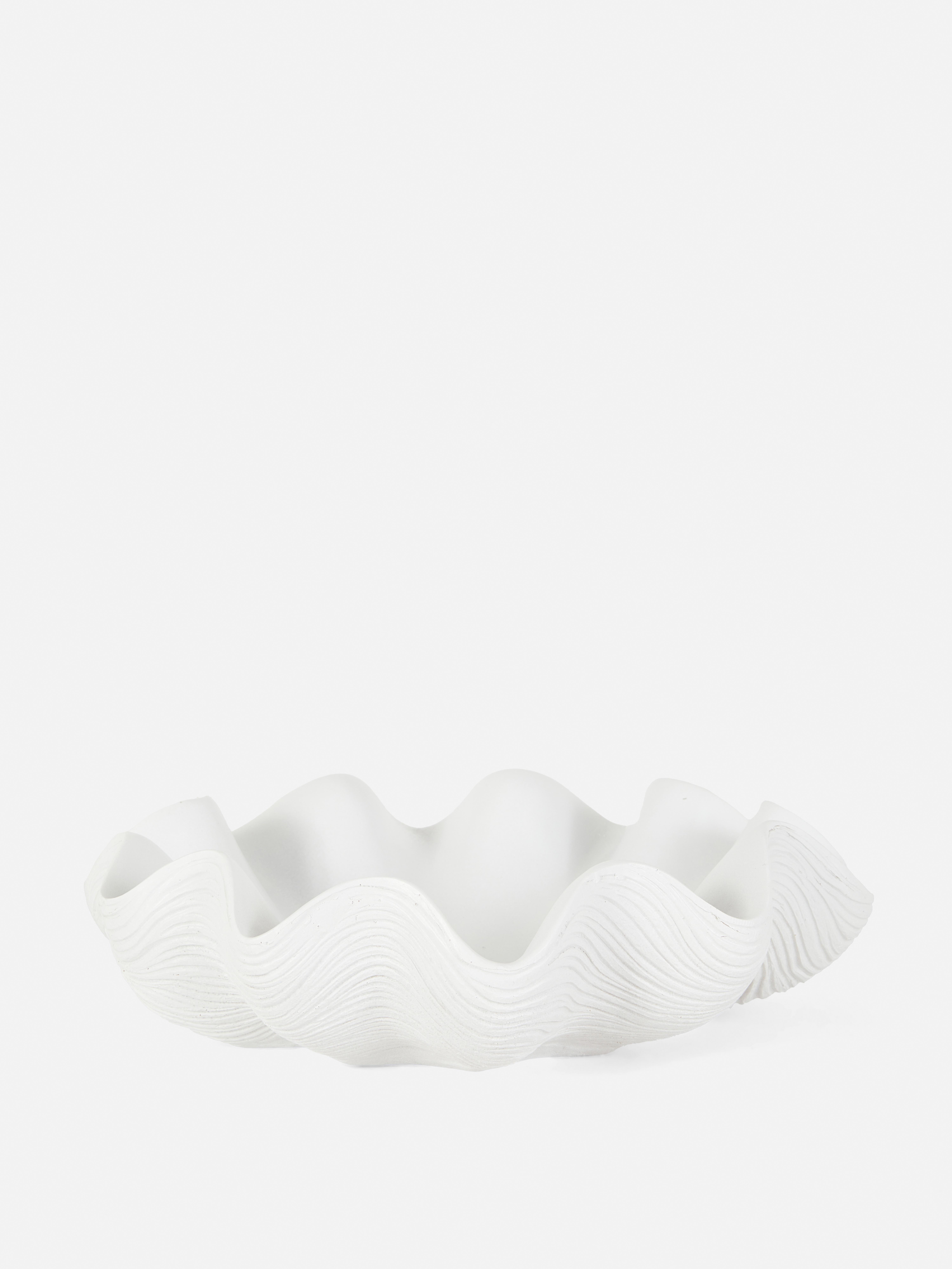 Sea Shell Display Bowl