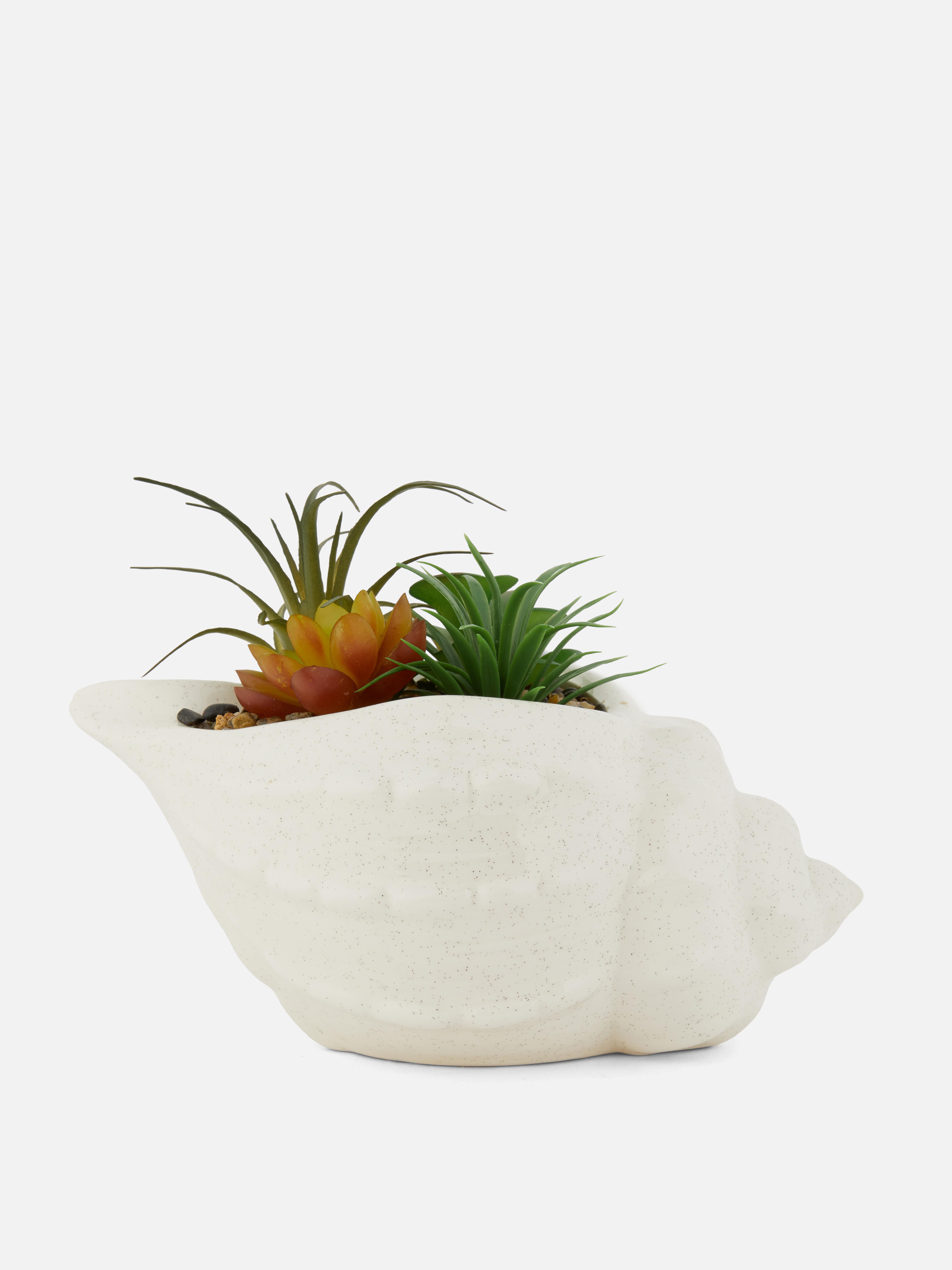 Faux Succulent In Seashell Shaped Pot
