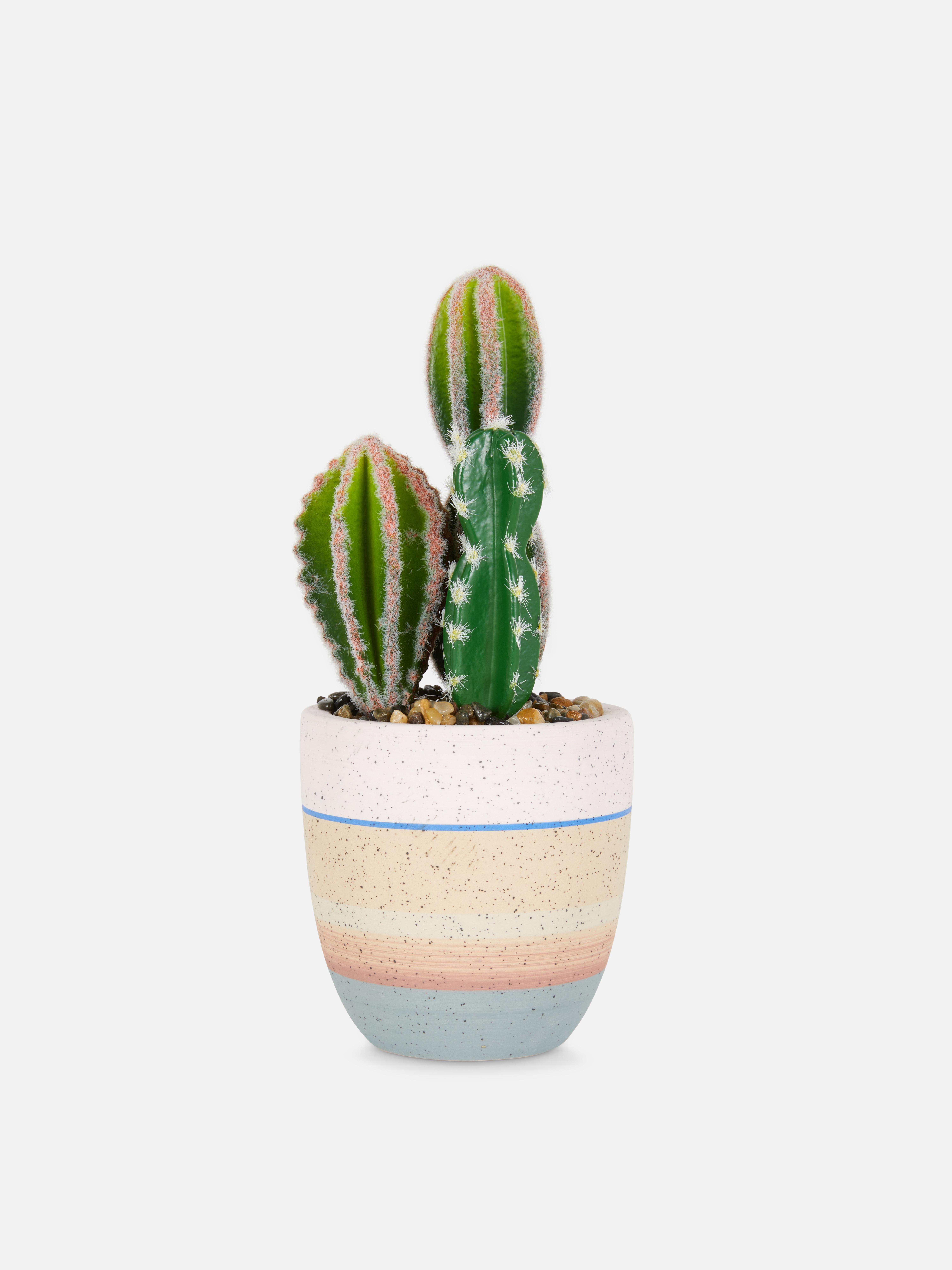 Cato artificial vaso riscas