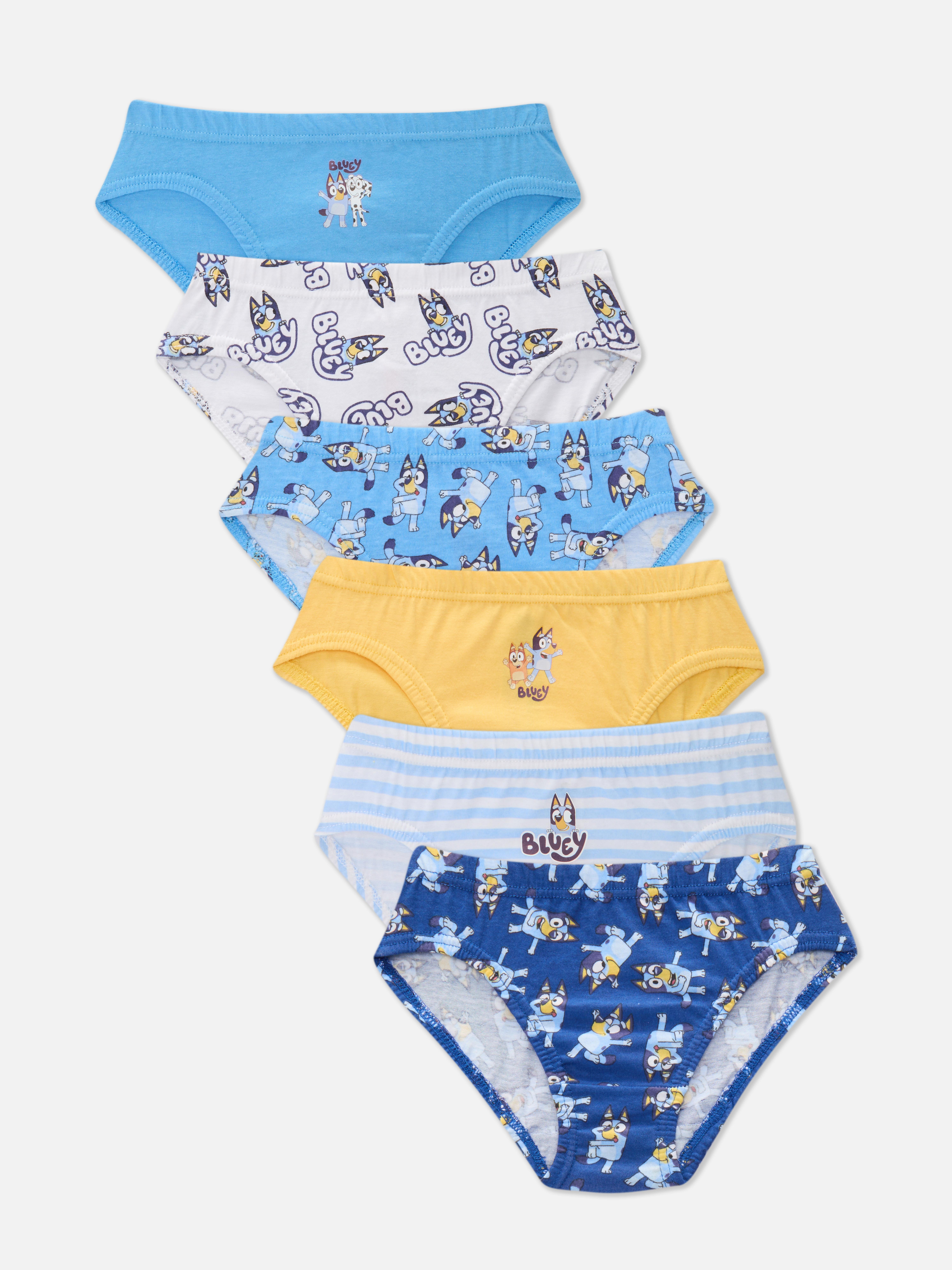 1.5-8yrs | 6pk Bluey Briefs
