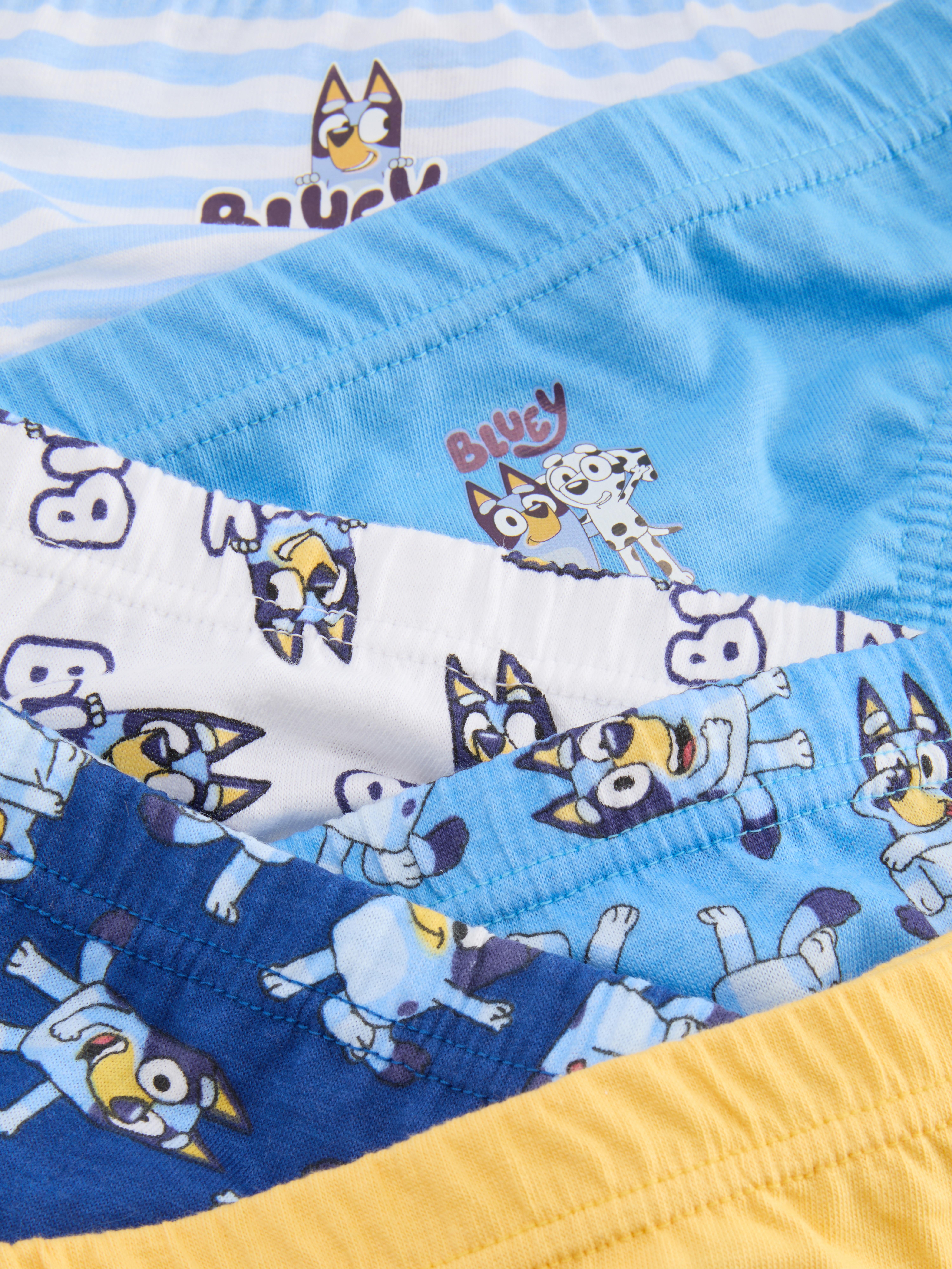 1.5-8yrs | 6pk Bluey Briefs