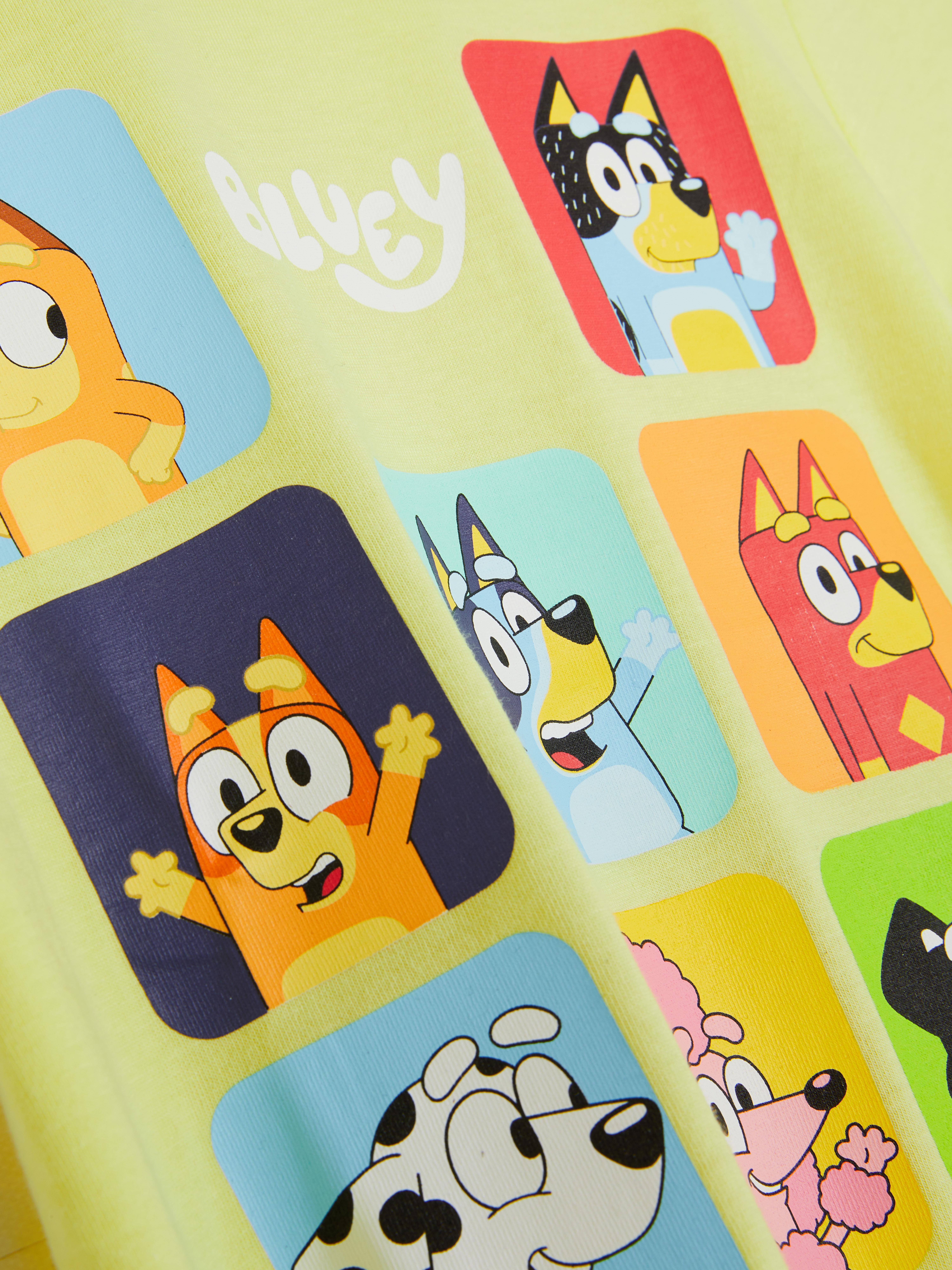 Bluey Character Graphic T-Shirt