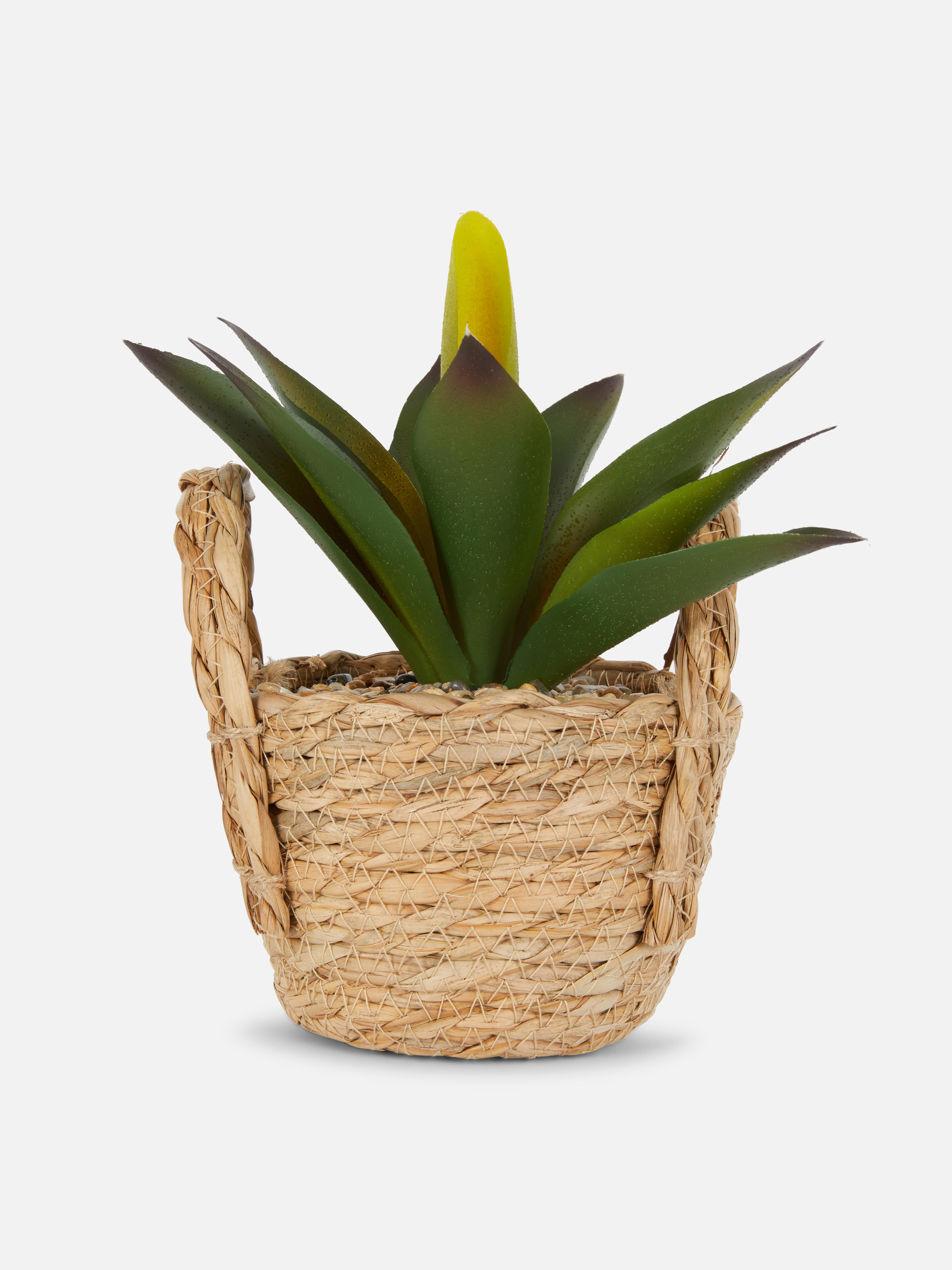 Pianta di Aloe Vera artificiale in vaso intrecciato
