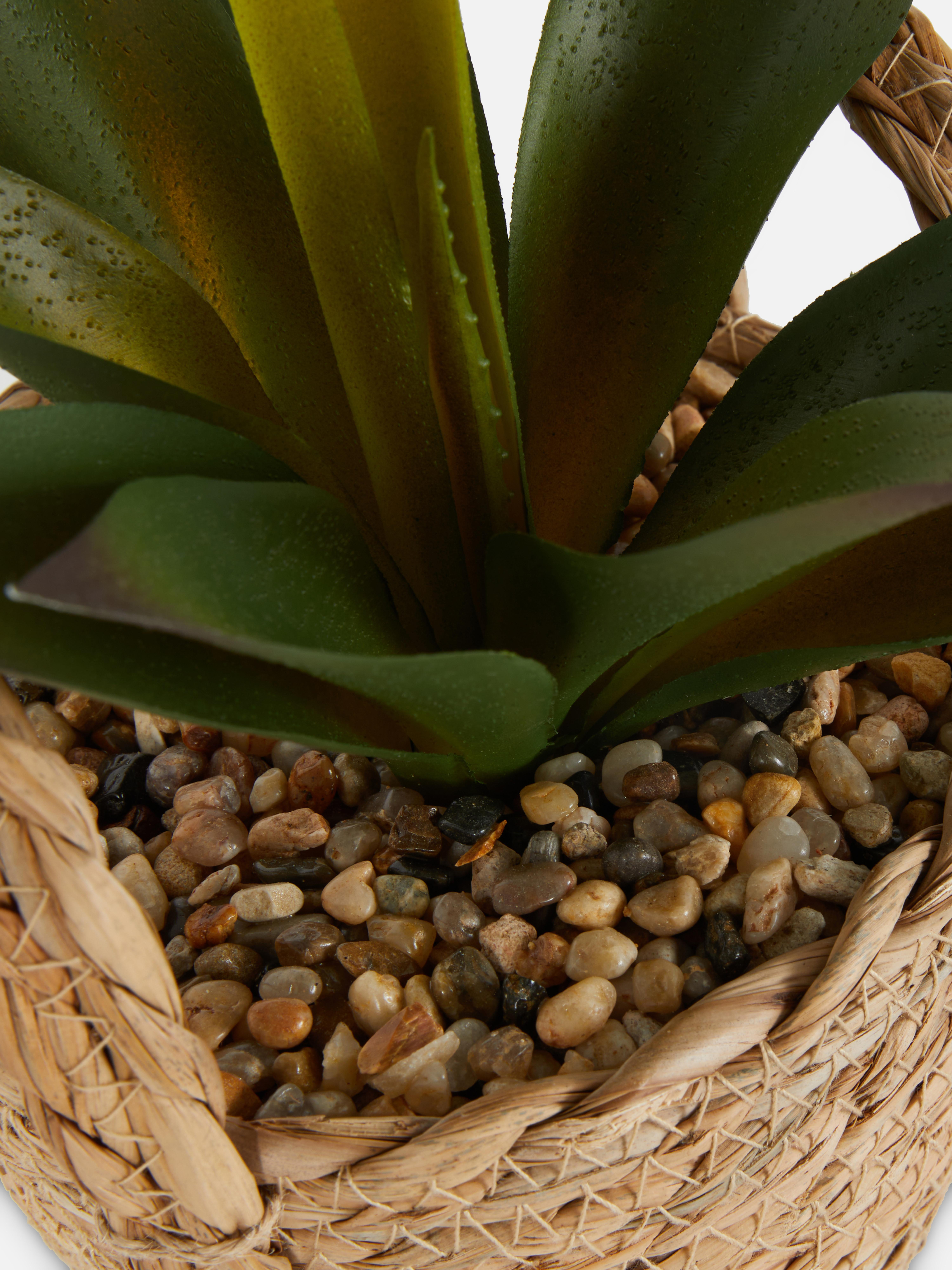 Pianta di Aloe Vera artificiale in vaso intrecciato