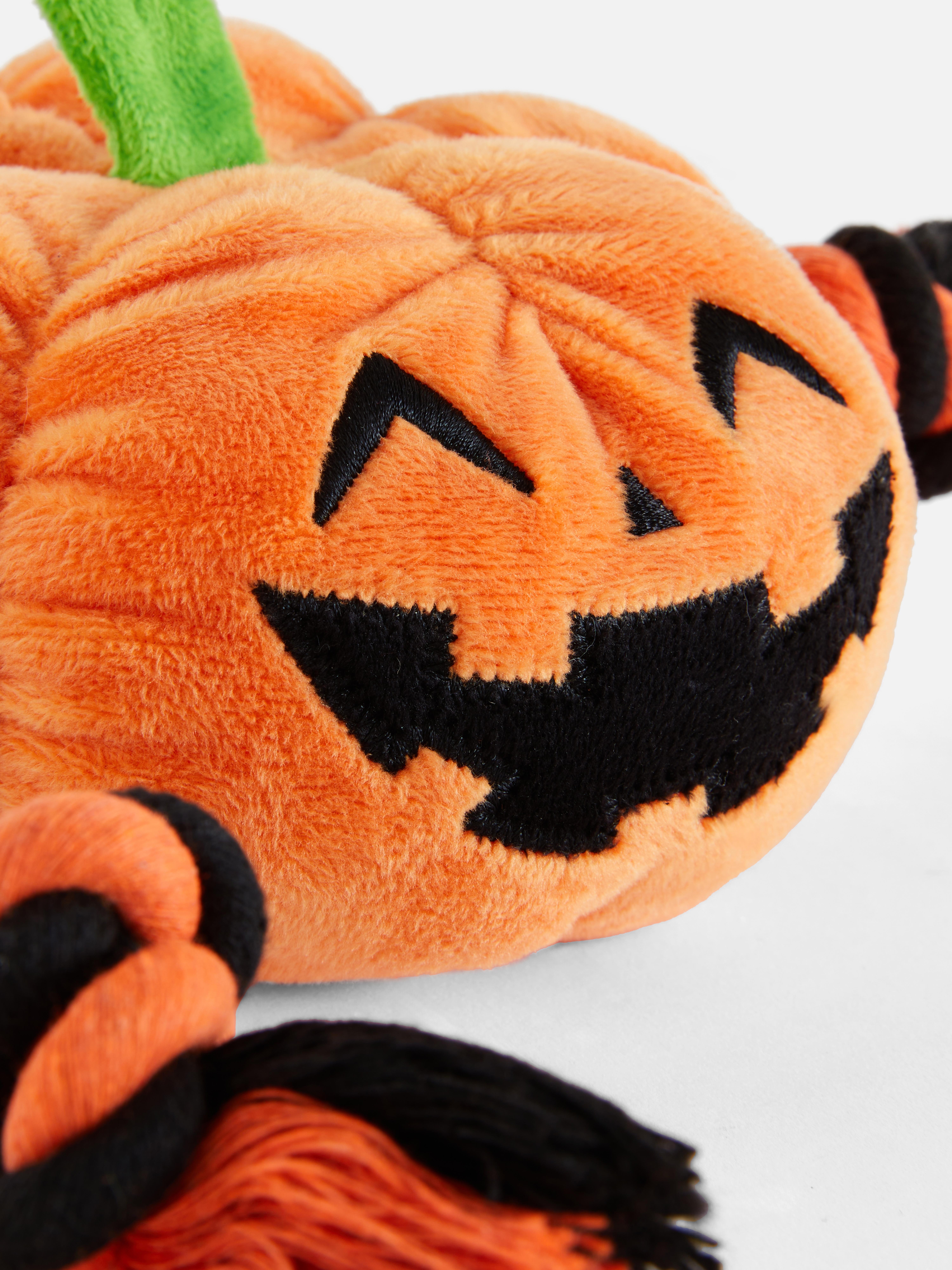 Halloween-Seilspielzeug für Haustiere