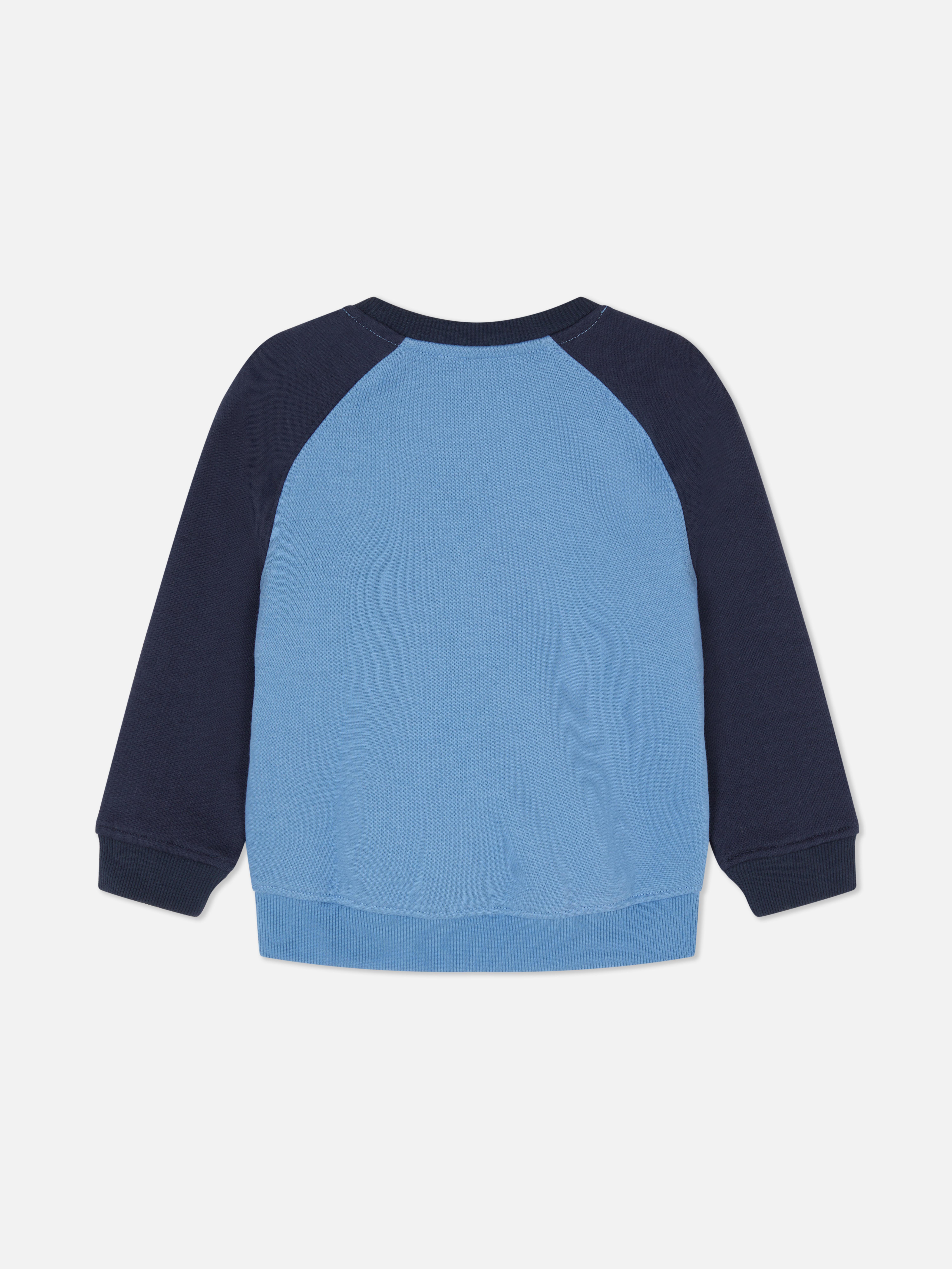 1,5–8 lat | Bluza w bloki kolorystyczne