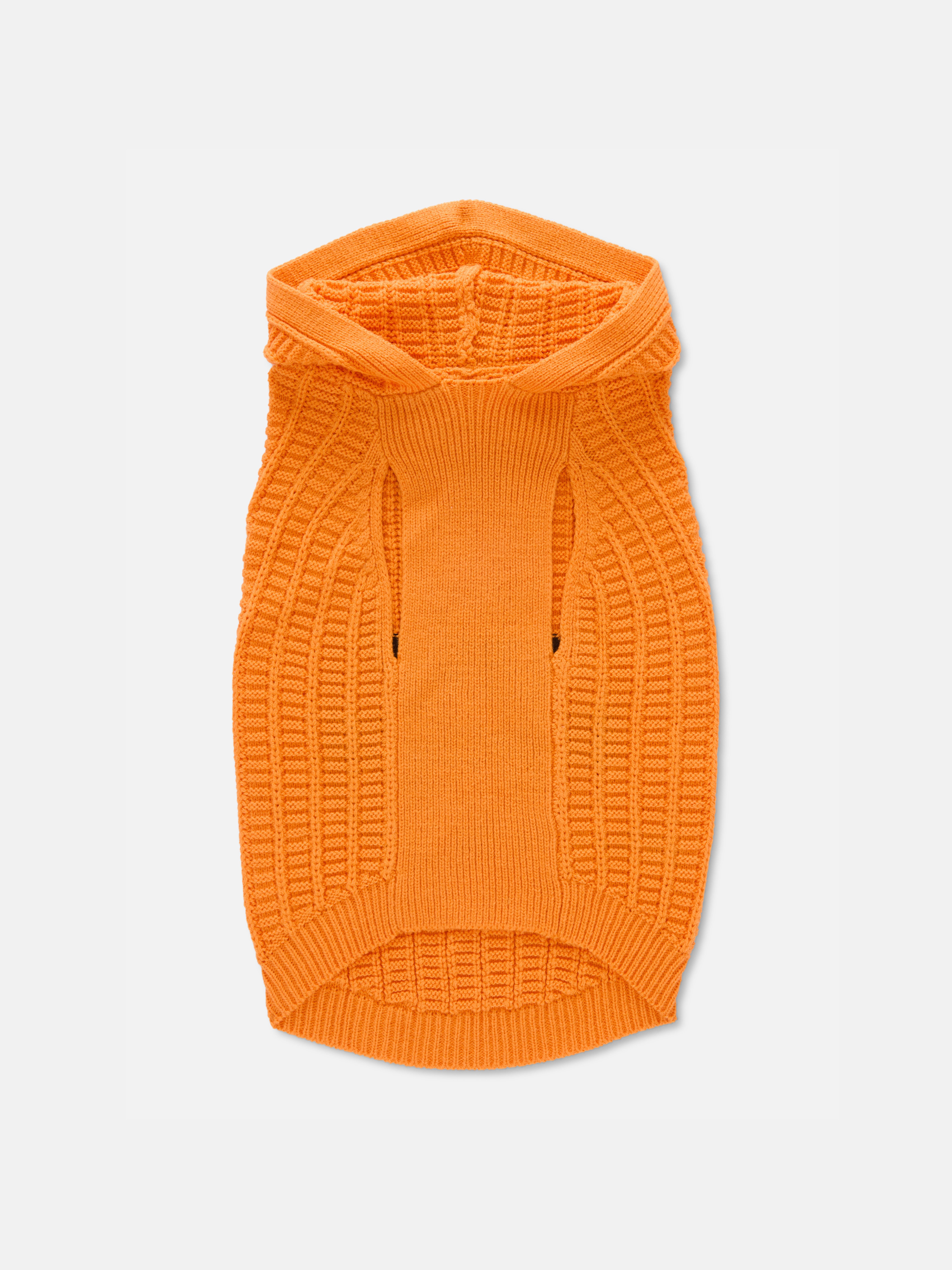 Halloween Pumpkin Pet Outfit