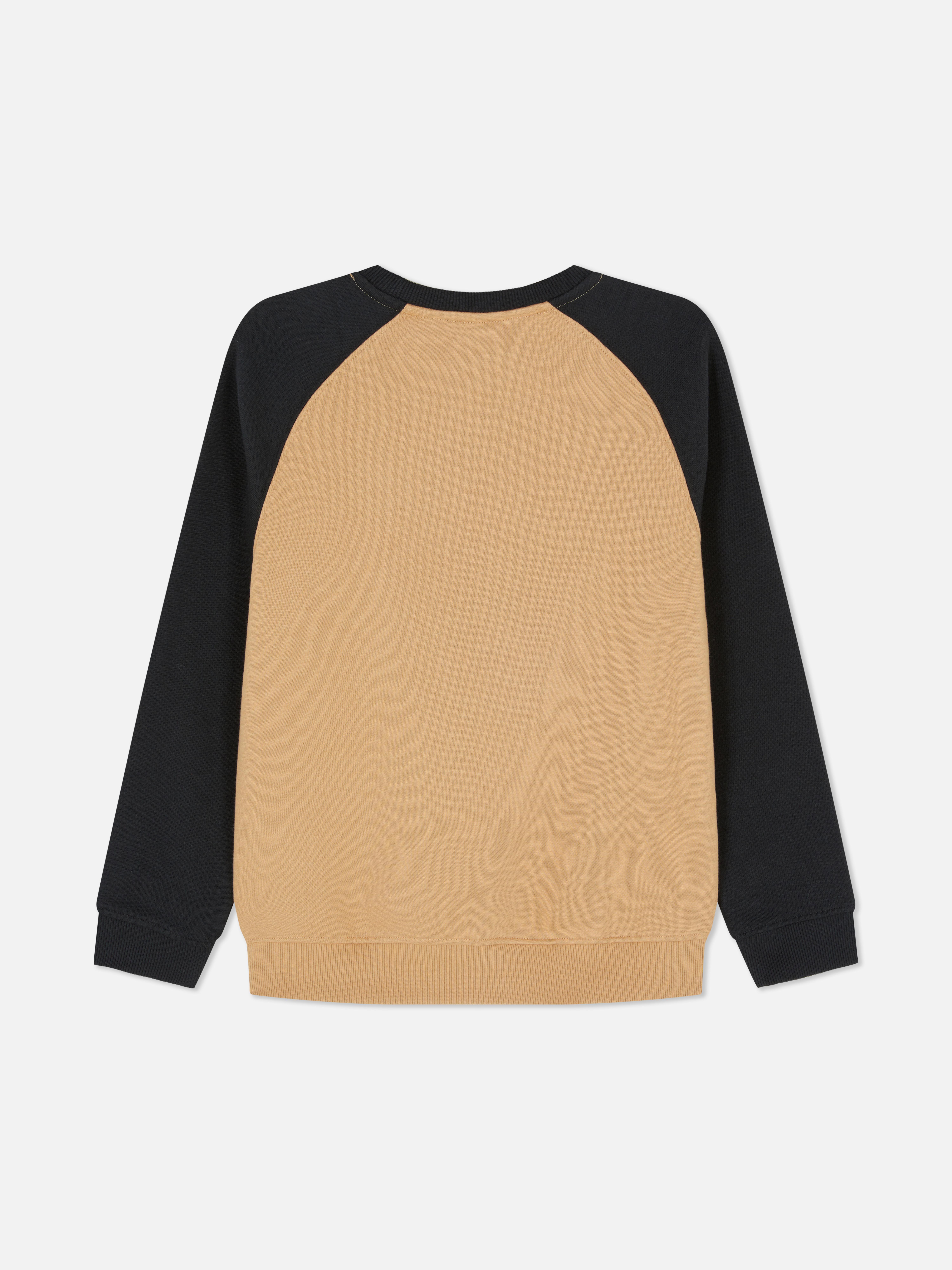 Color Block Sweatshirt