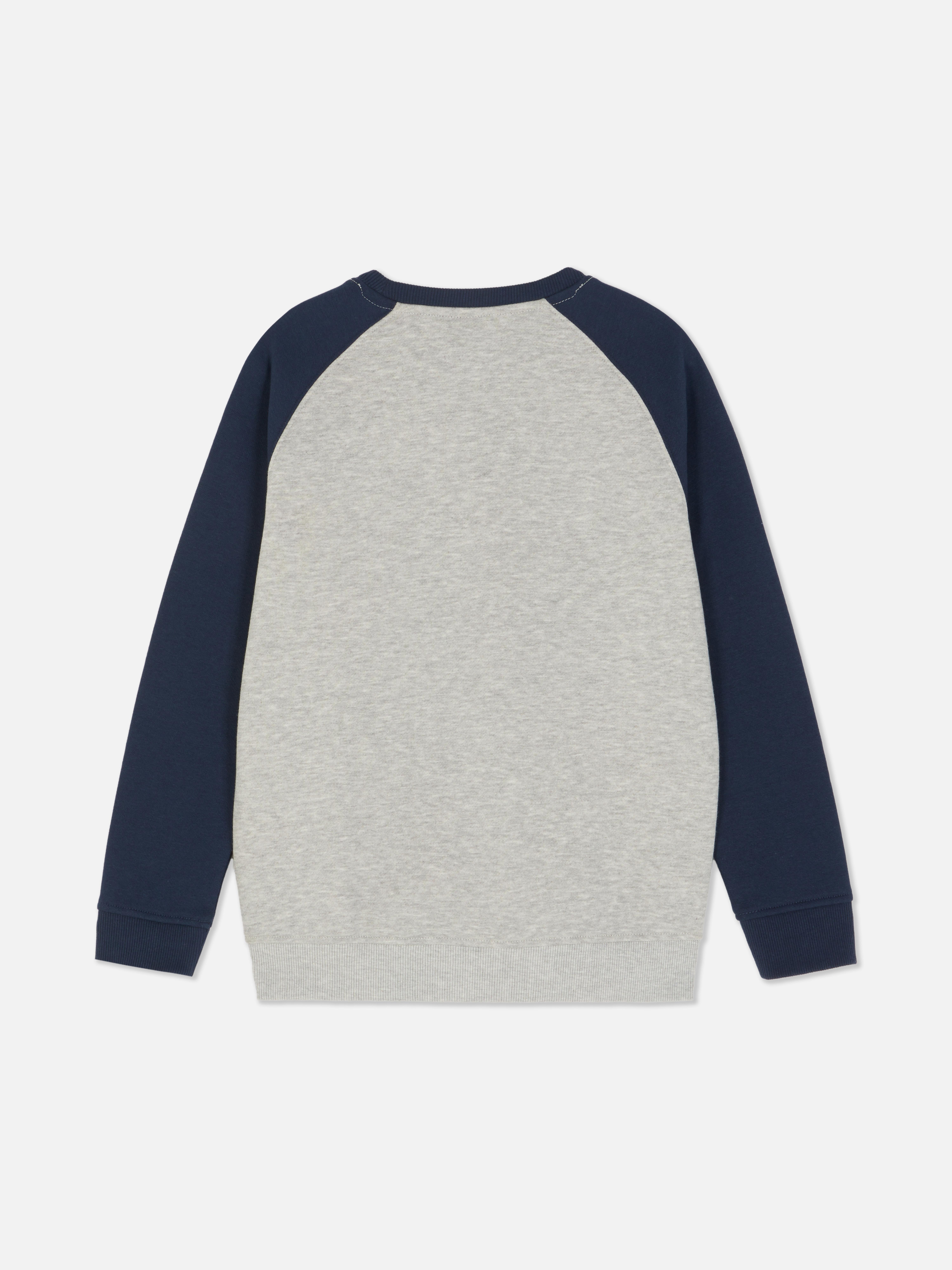 Sweatshirt met kleurblokken