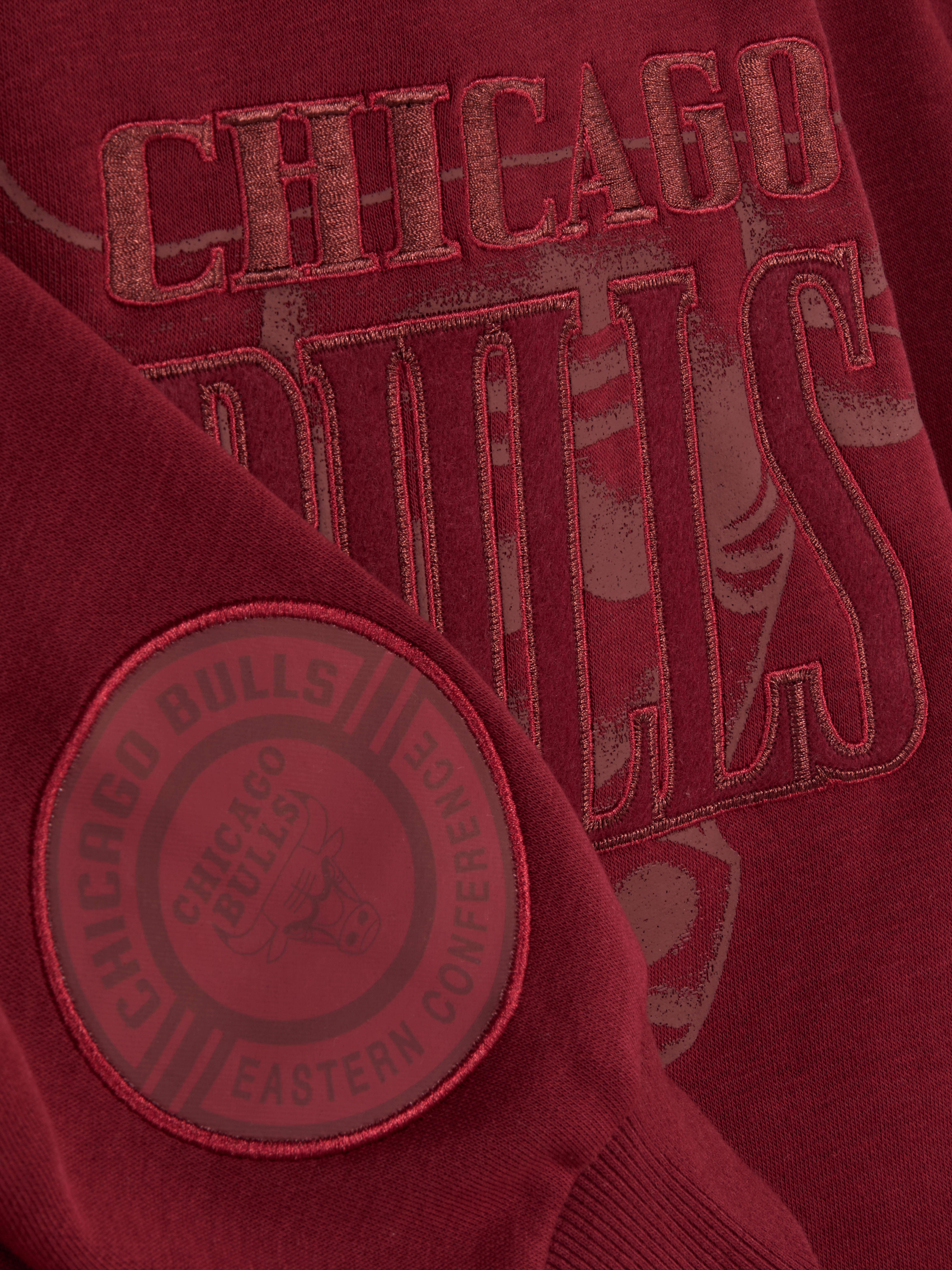 NBA Chicago Bulls Graphic Hoodie