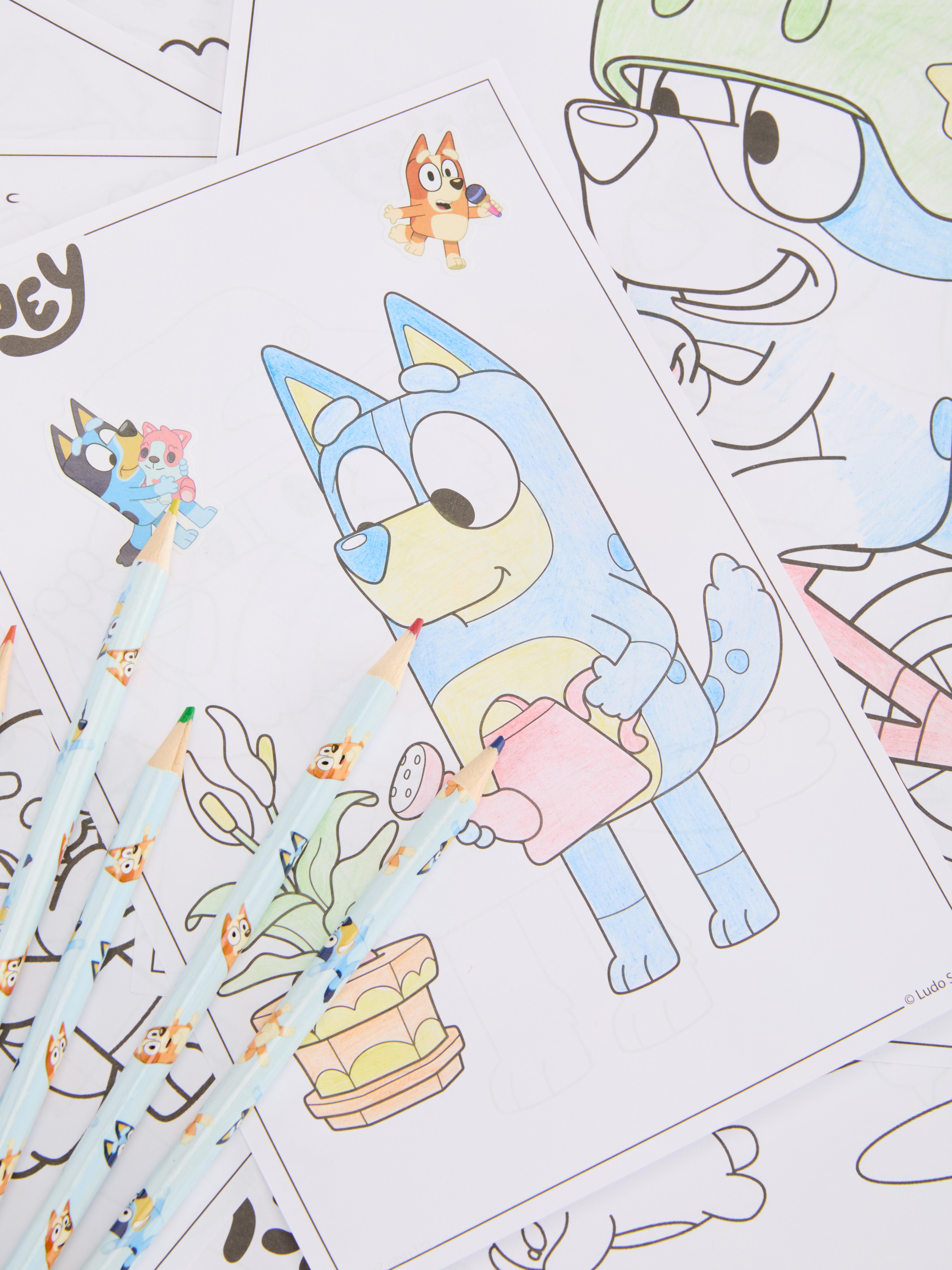 Bluey Activity Set