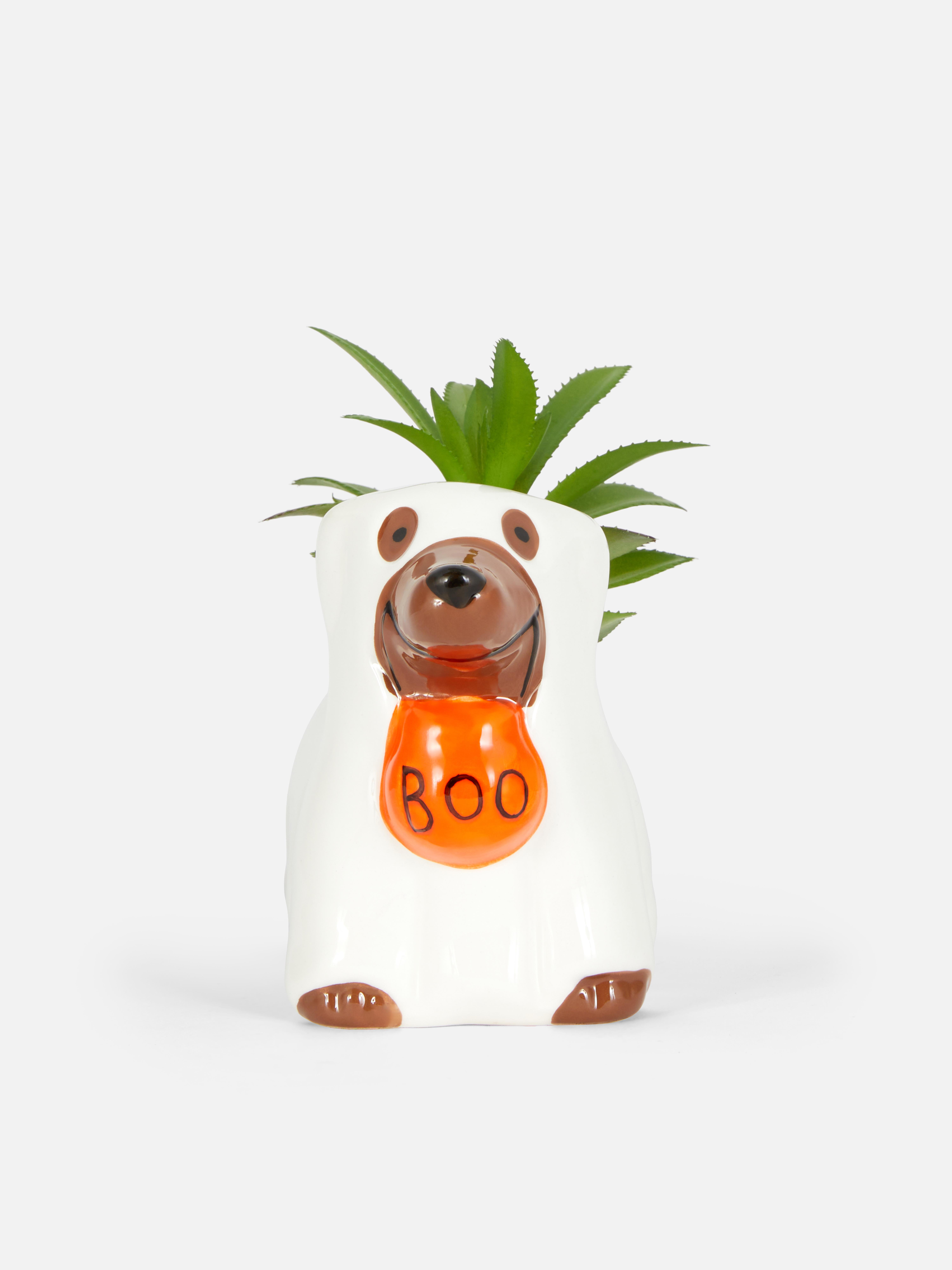Planta cão Halloween
