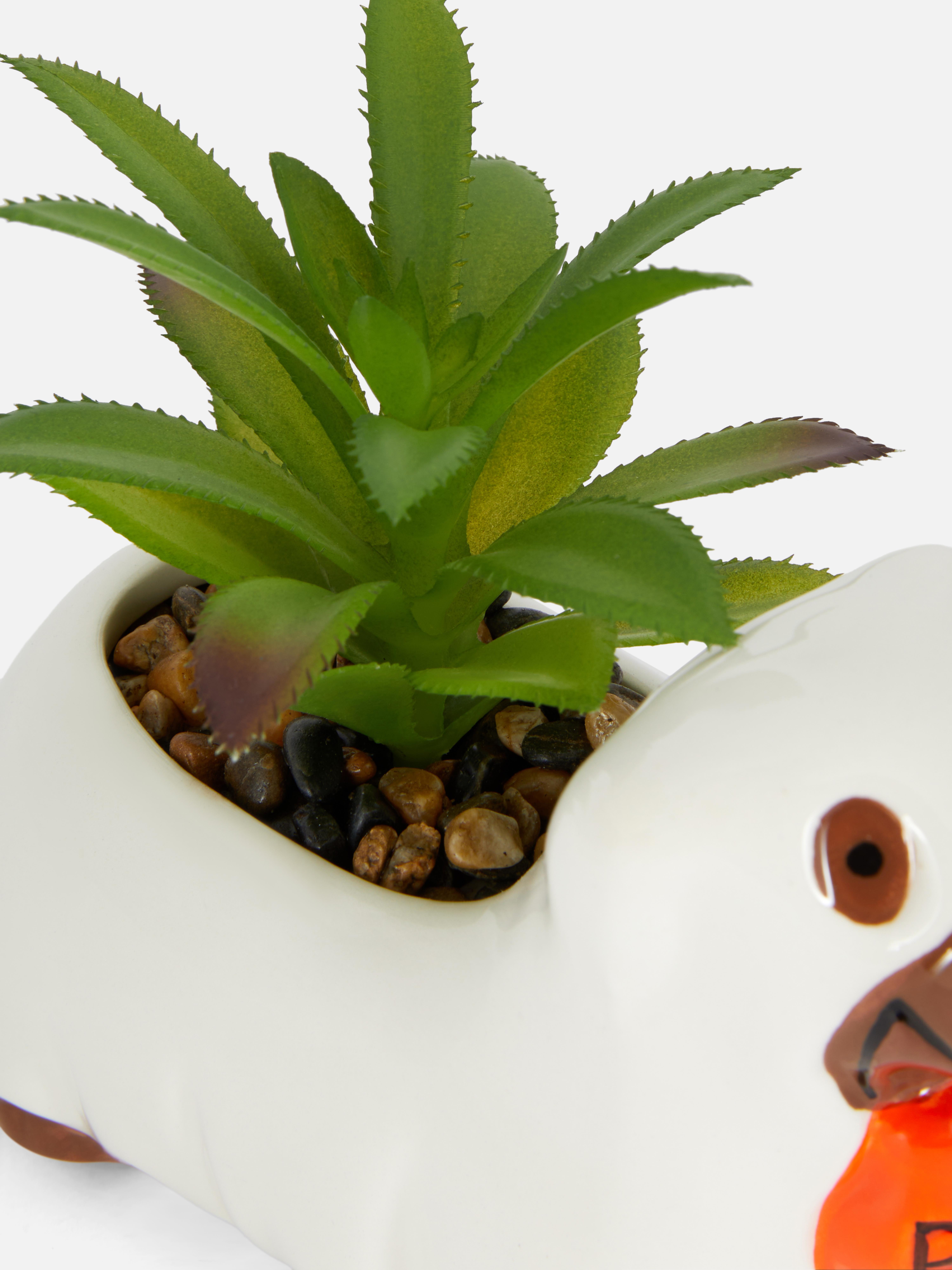 Halloween Dog Plant