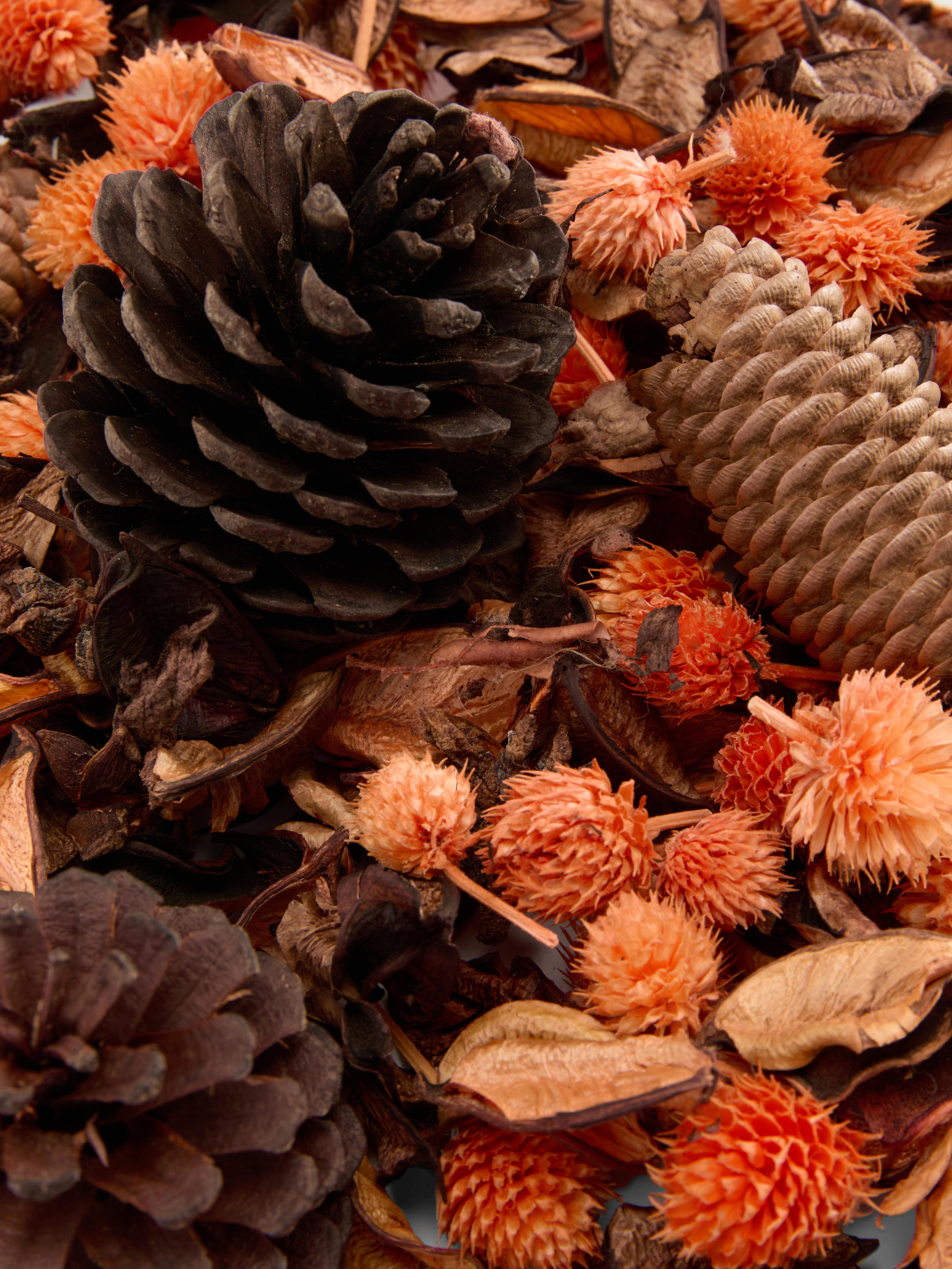 Autumnal Scented Pot Pourri