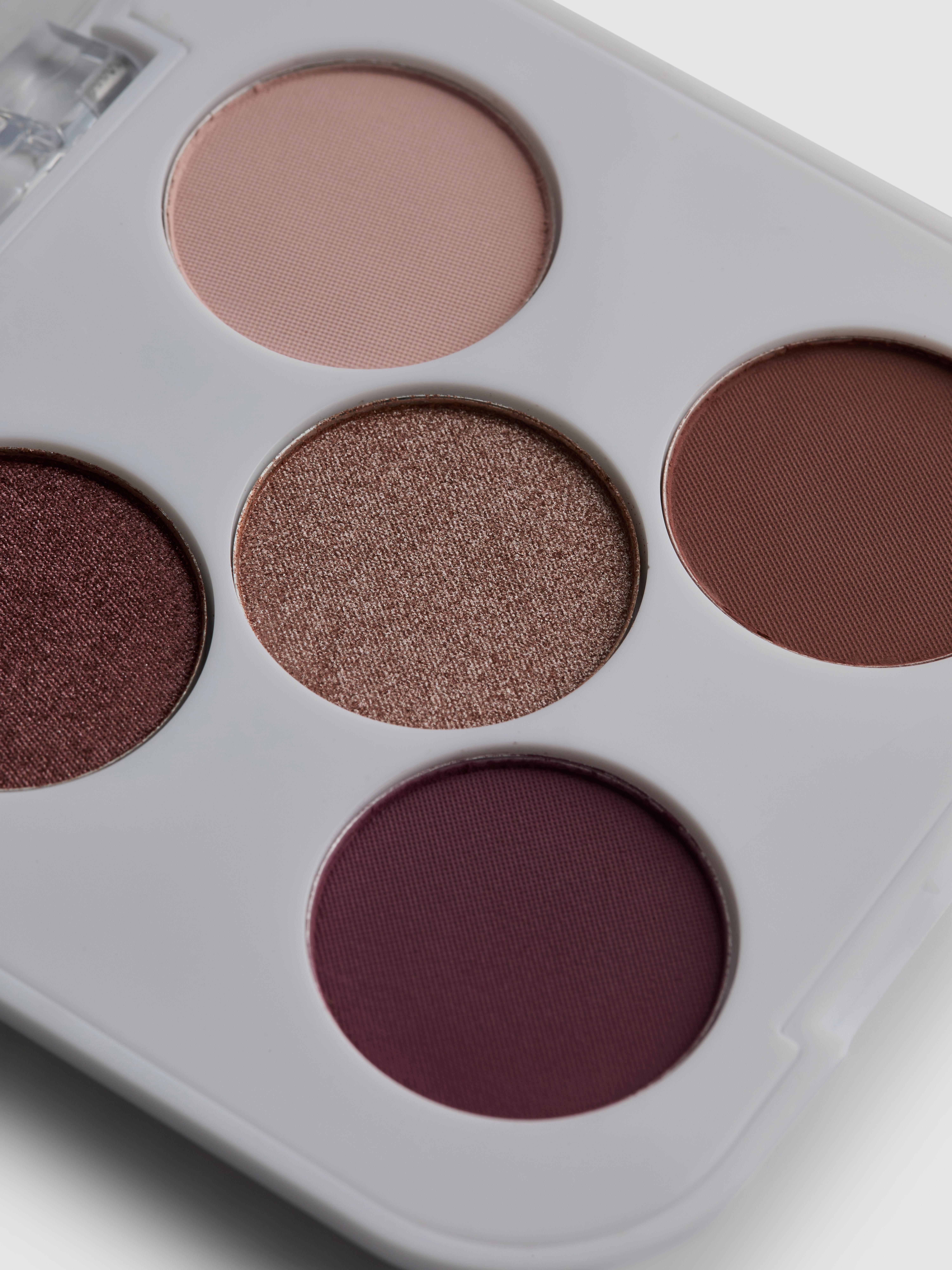 Set fard de pleoape neutru PS...