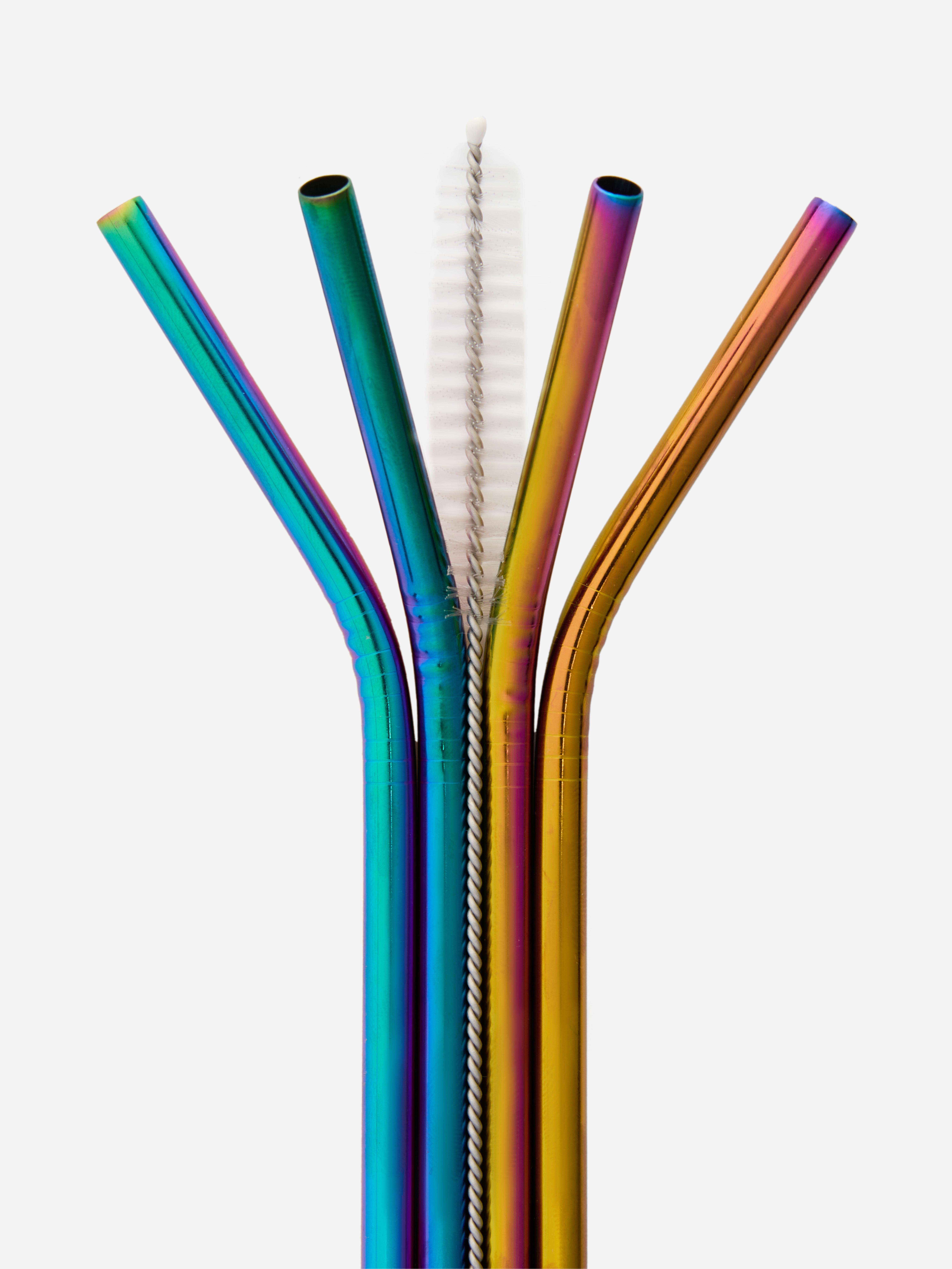 Lot de 4 pailles dégradées en acier inoxydable