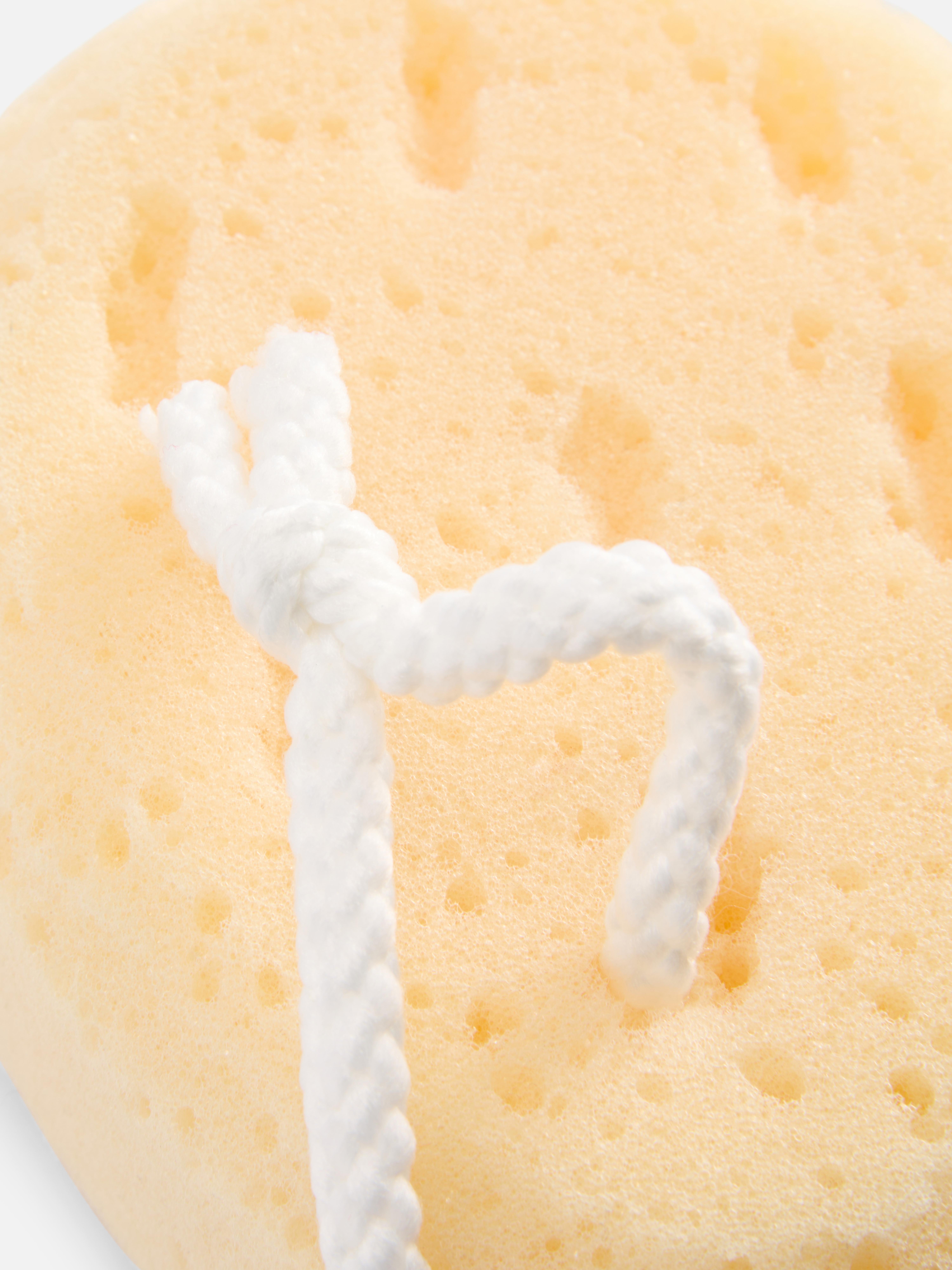 Shower Sponge