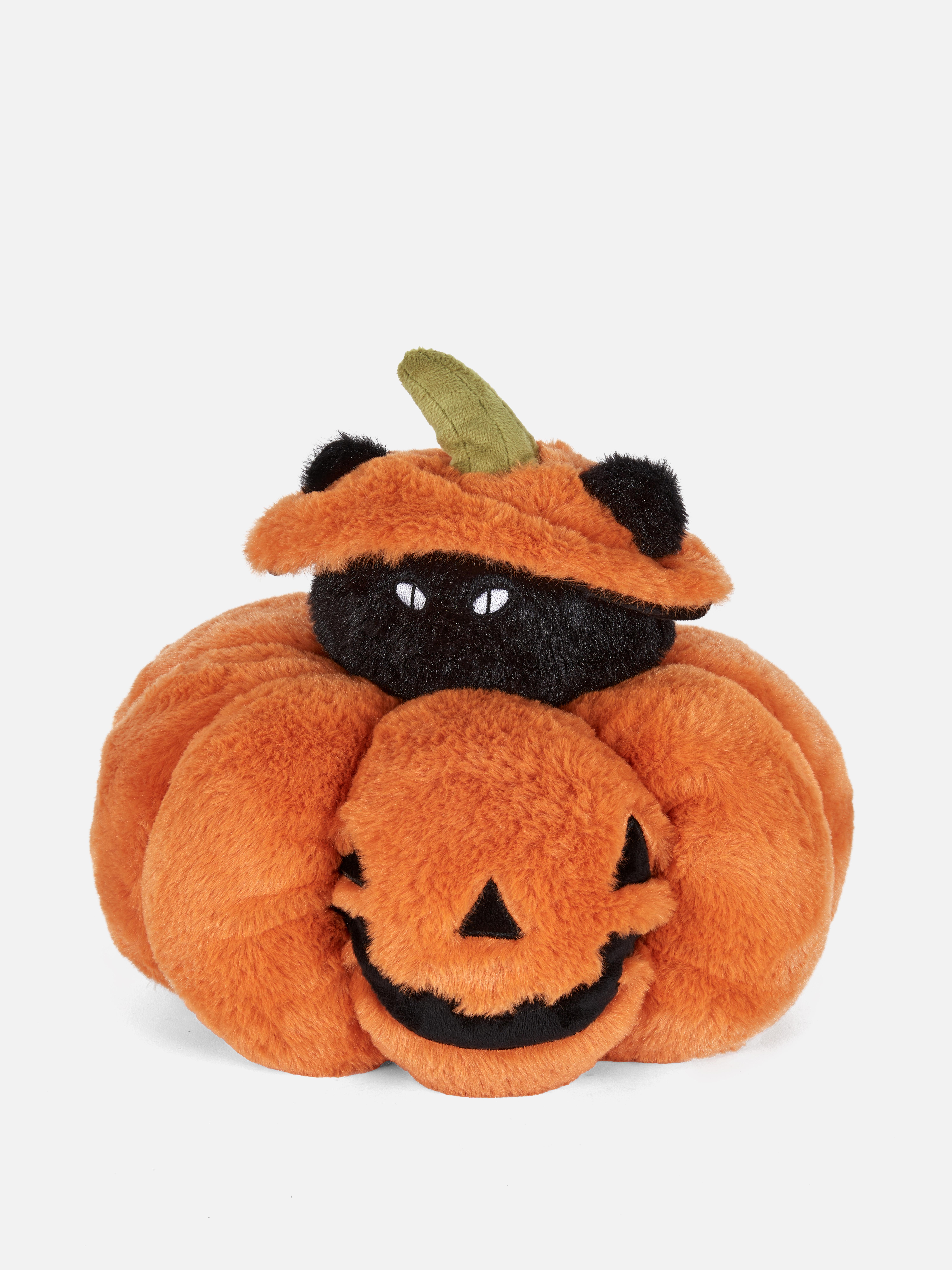 Pompoenkussen kat