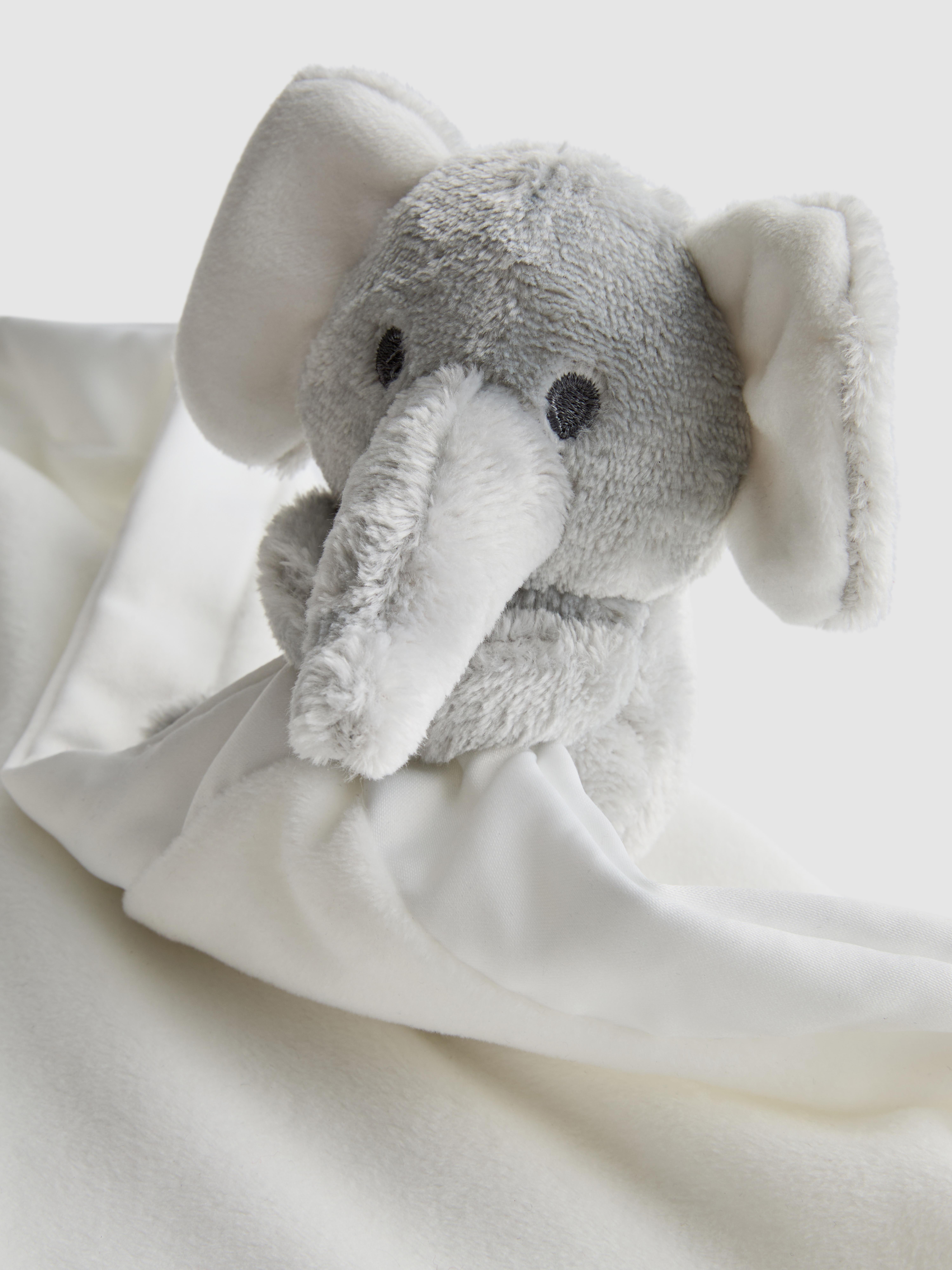 Born in 2026 Baby Comforter