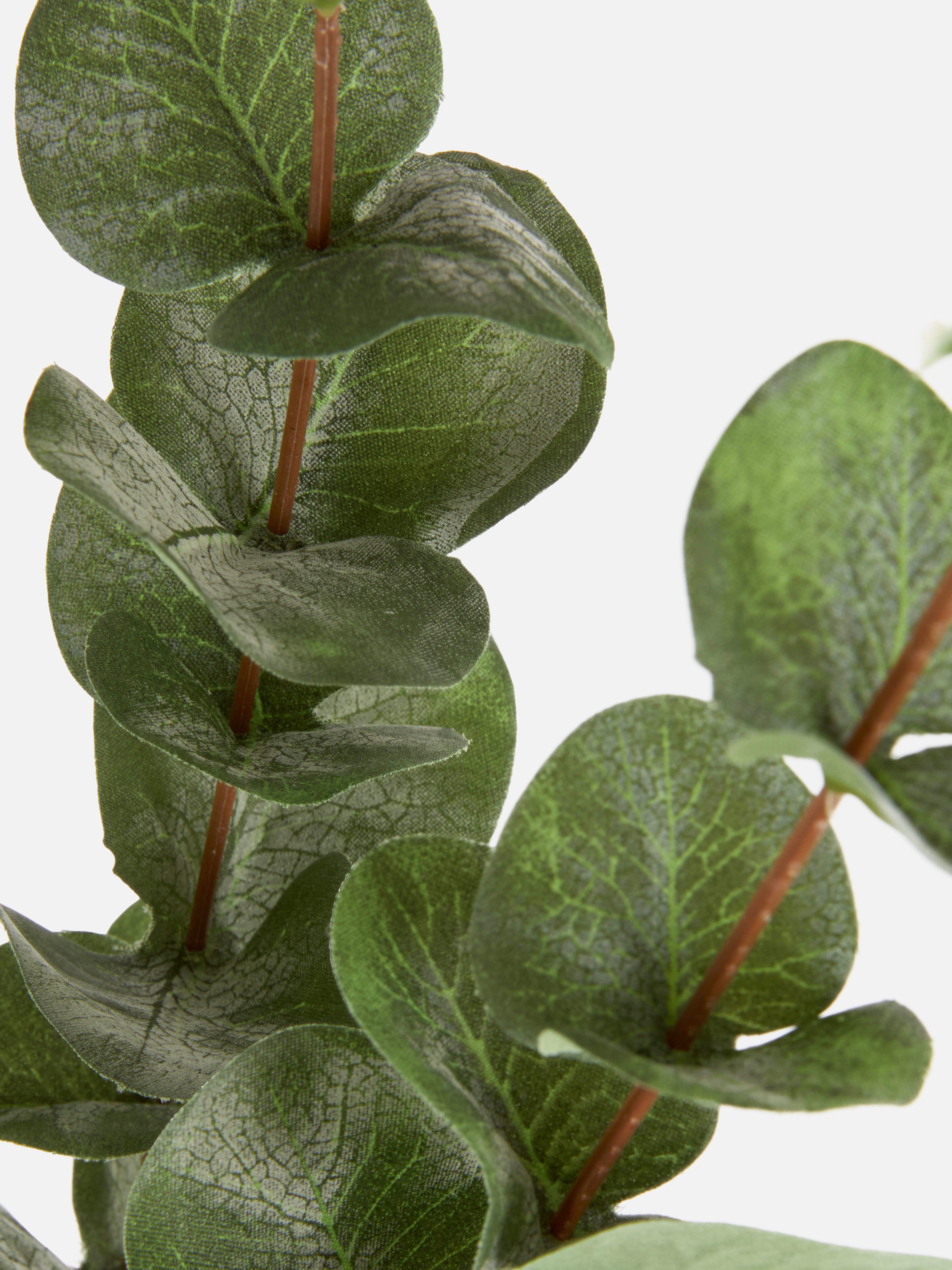 Faux eucalyptus à tige unique