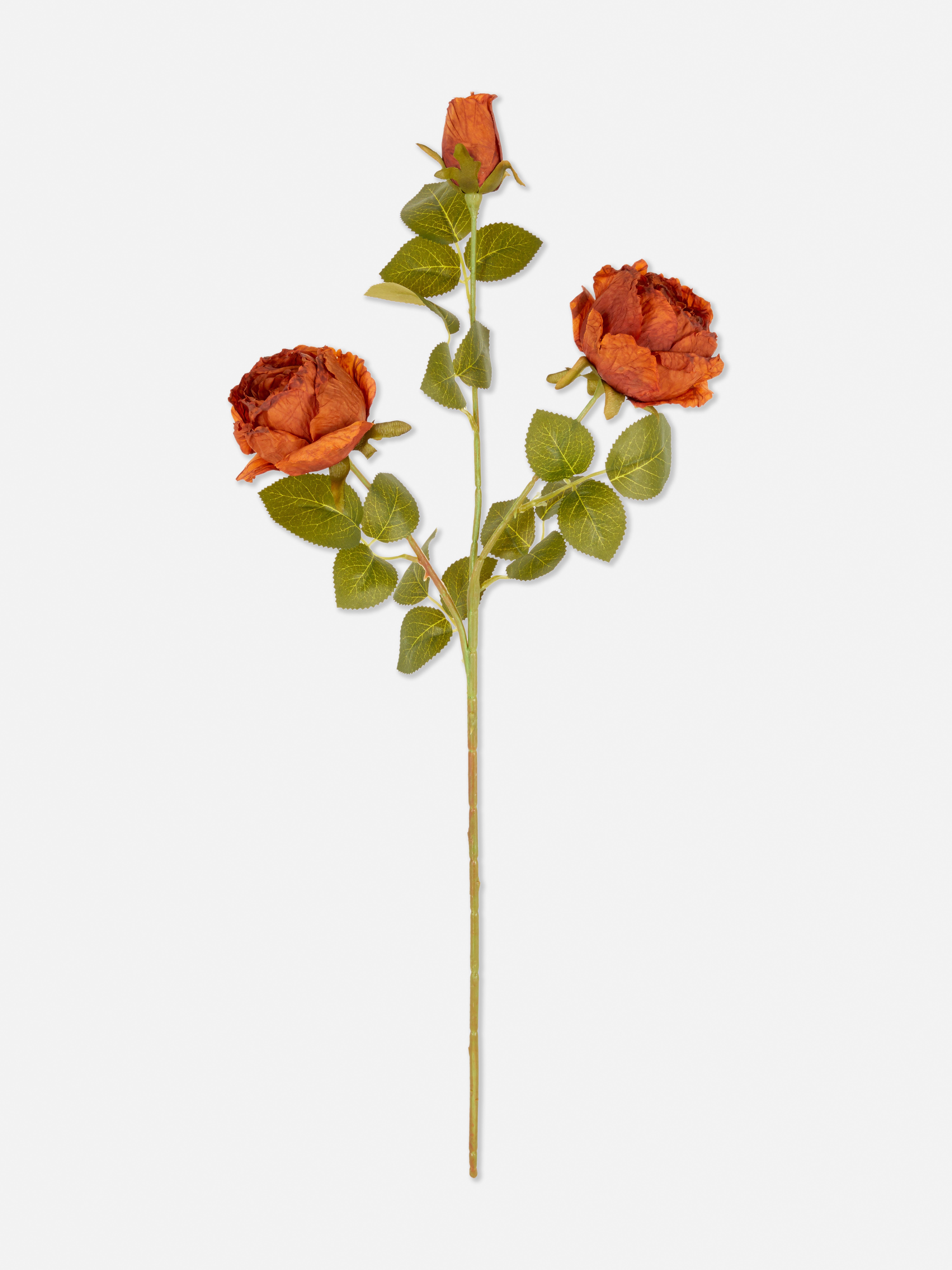 Einzelner künstlicher Rosenstiel