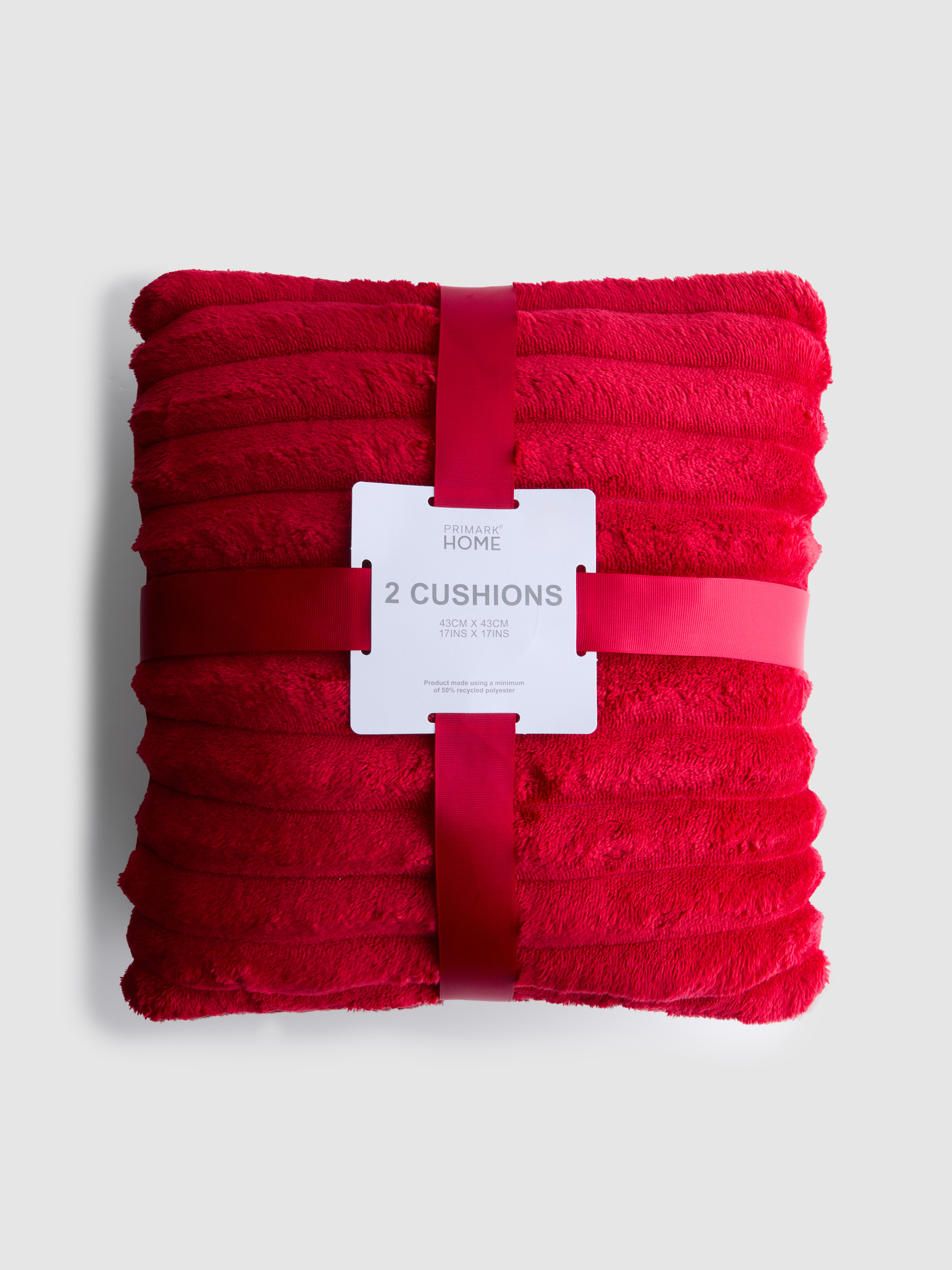 Lot de 2 grands coussins côtelés