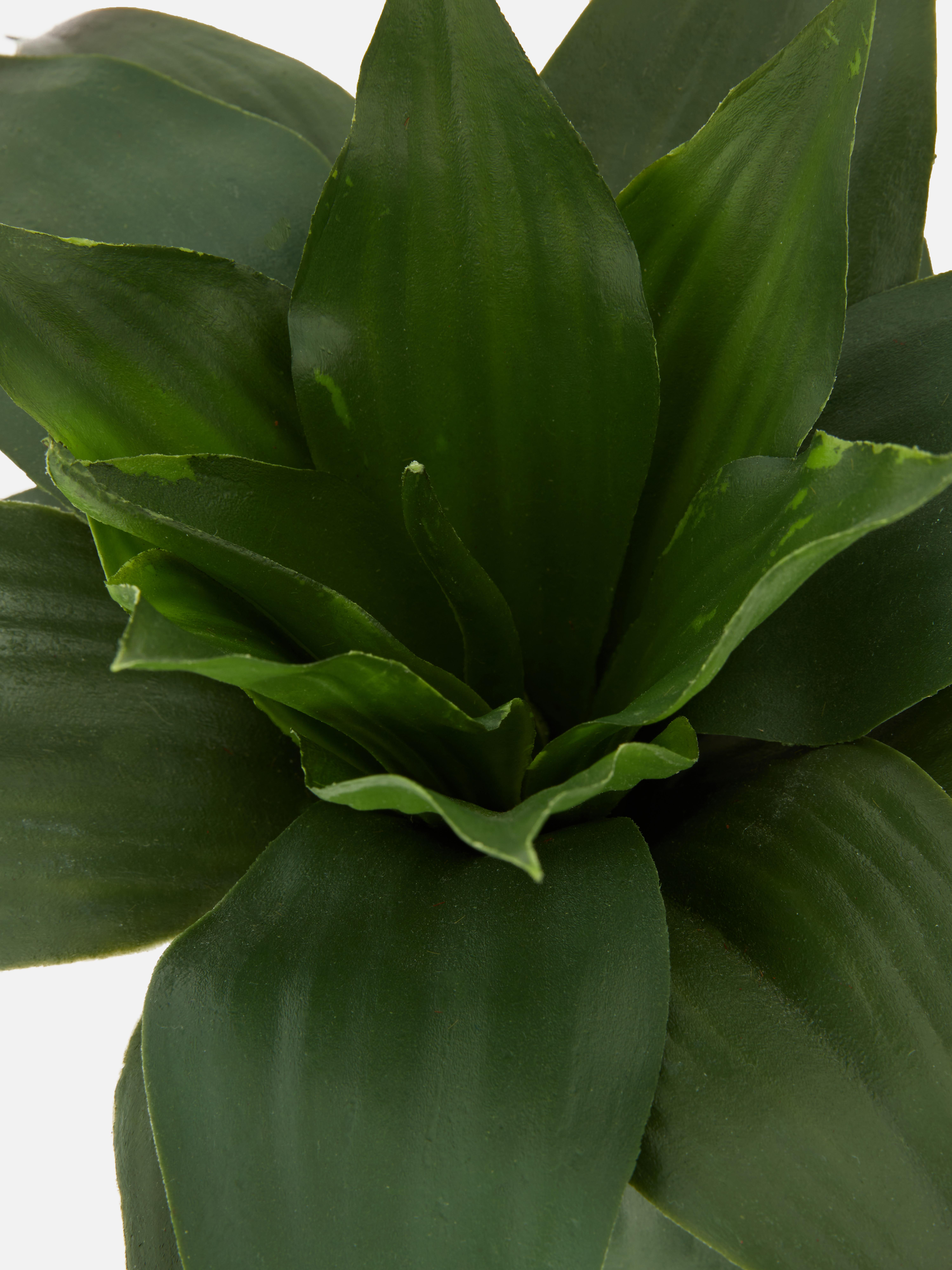 Pianta grassa artificiale in vaso di ceramica