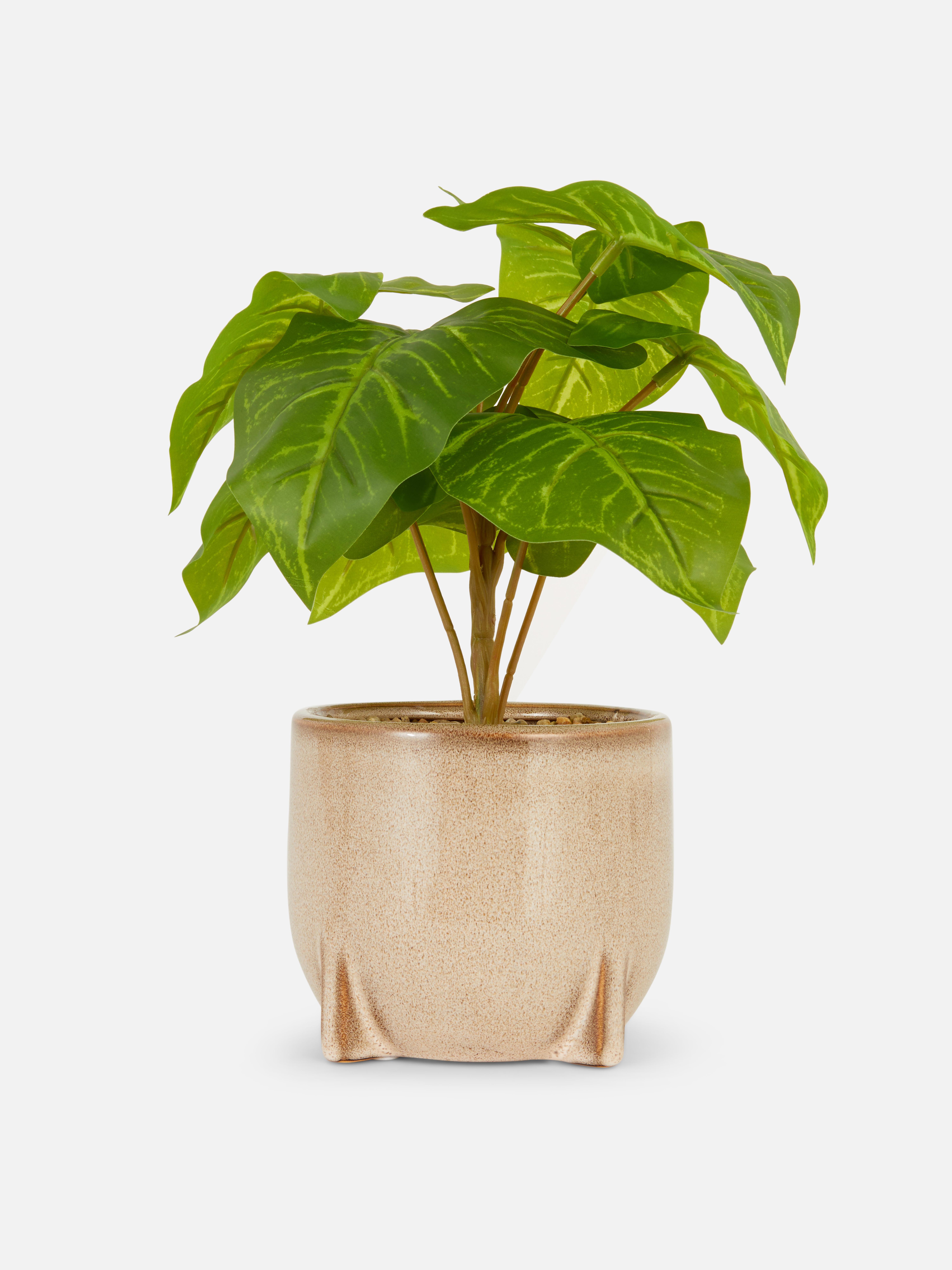 Planta ponta flecha artificial vaso cerâmica