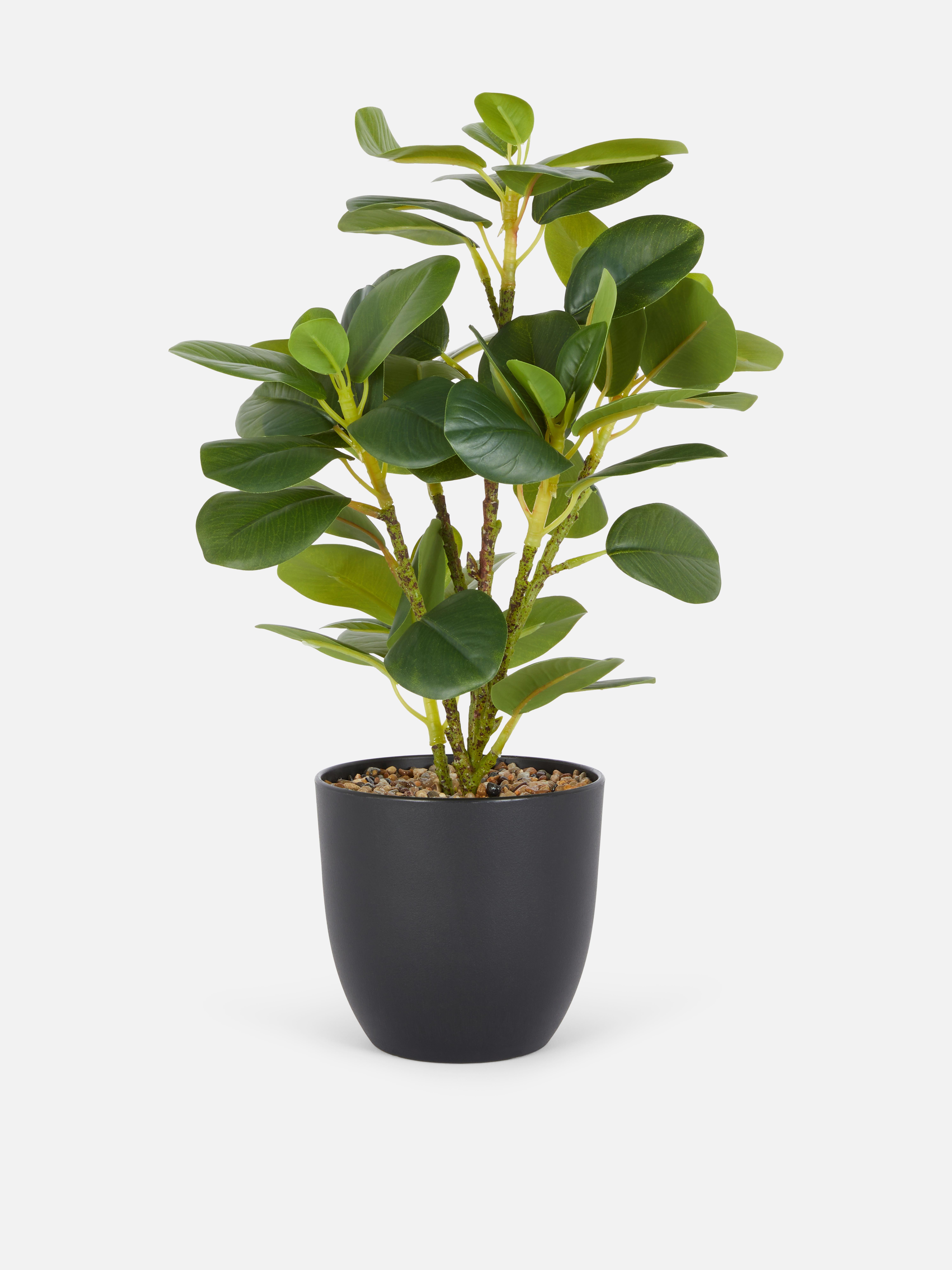Medium Faux Plant in Pot