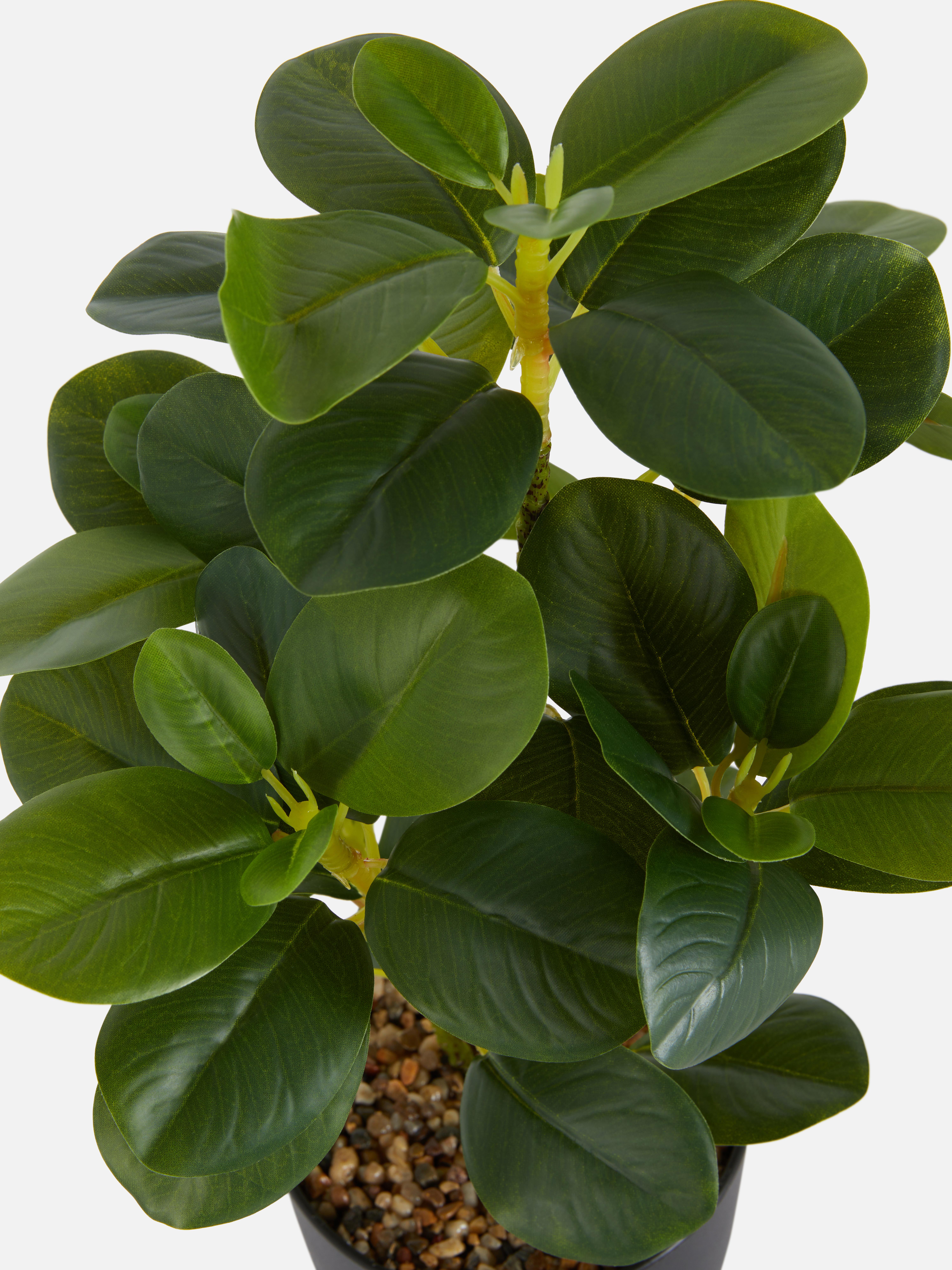 Medium Faux Plant in Pot