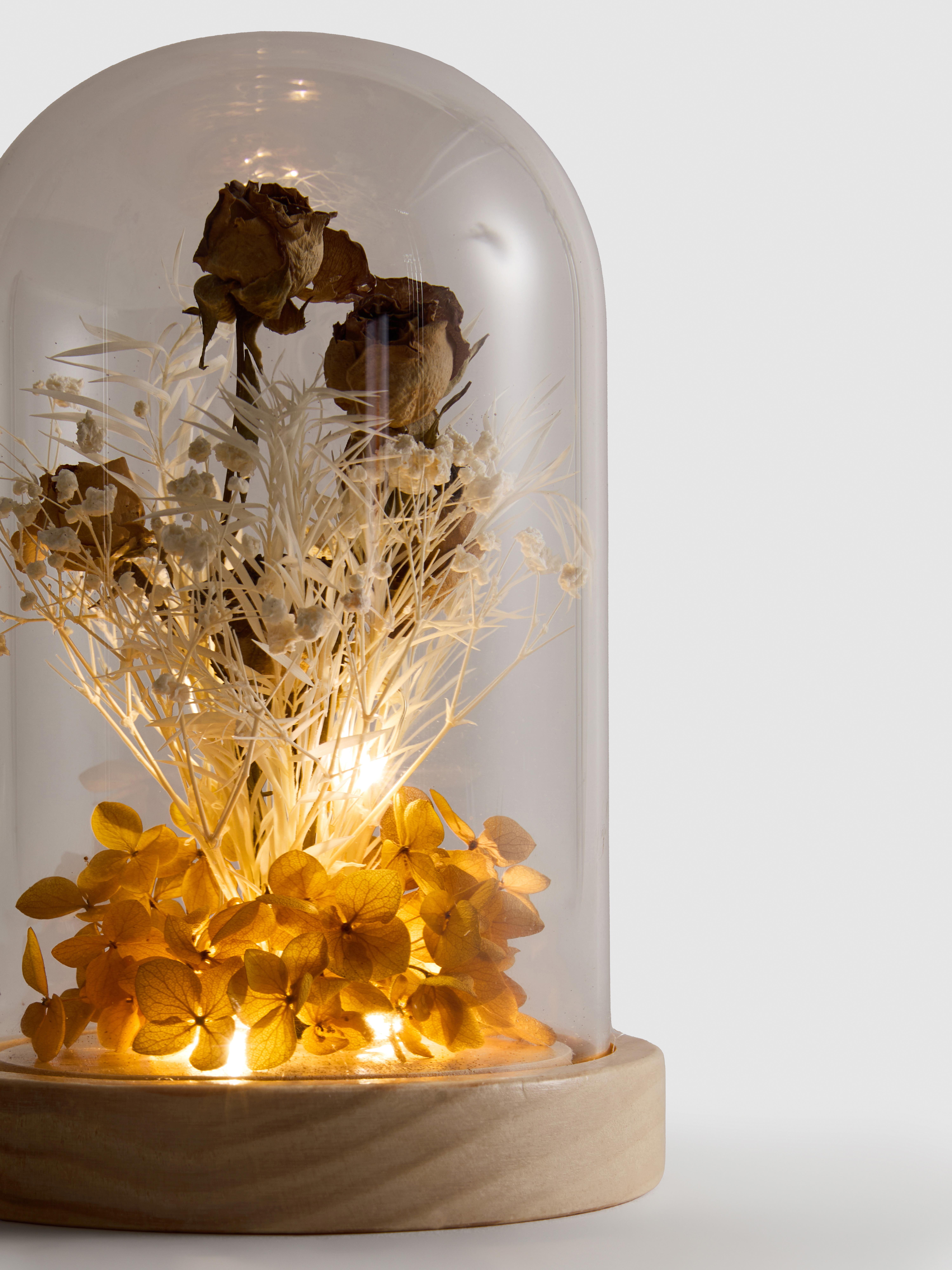 Koepelvormige led-decoratie met gedroogde bloemen