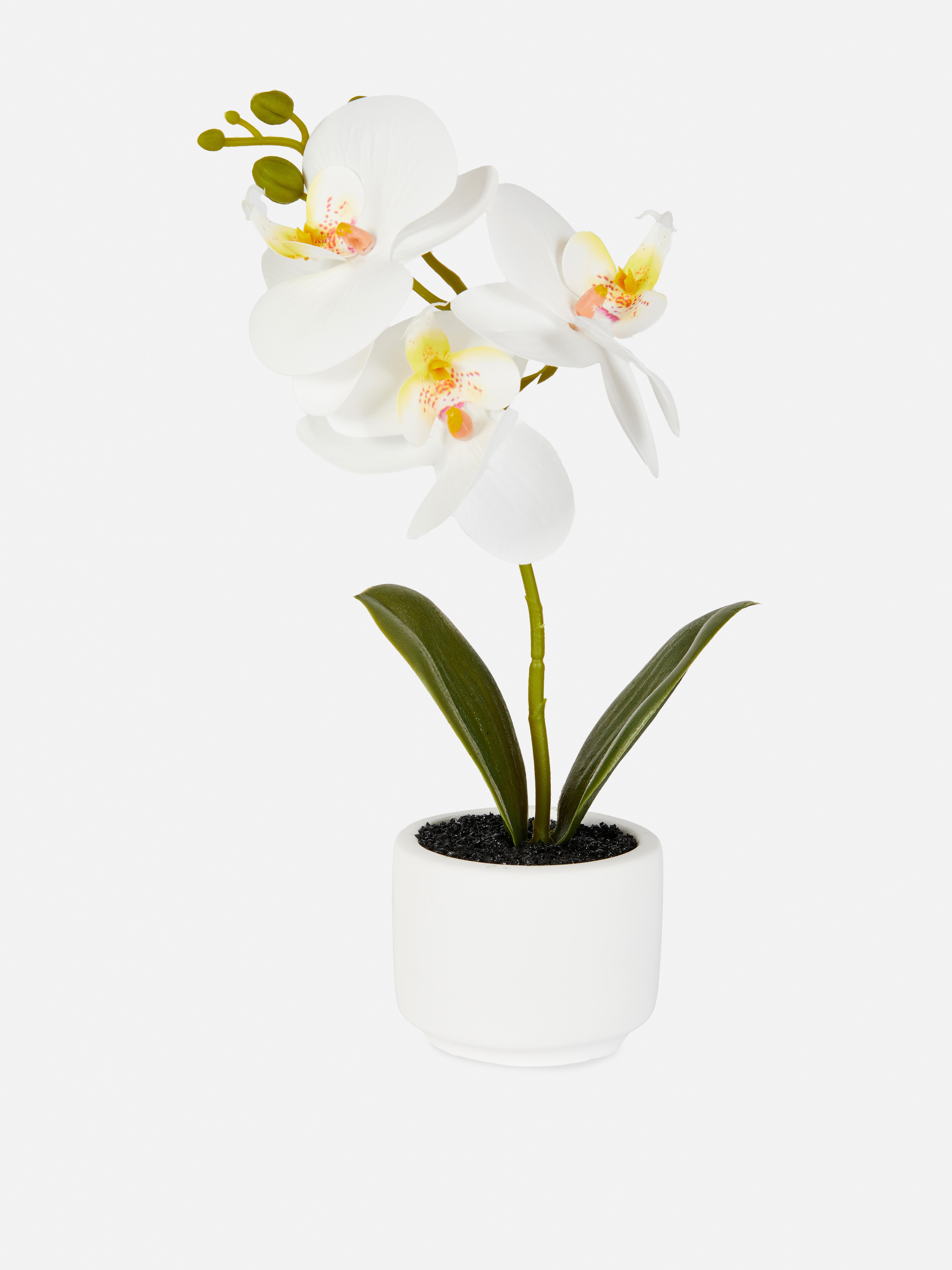 Faux Orchid In Pot