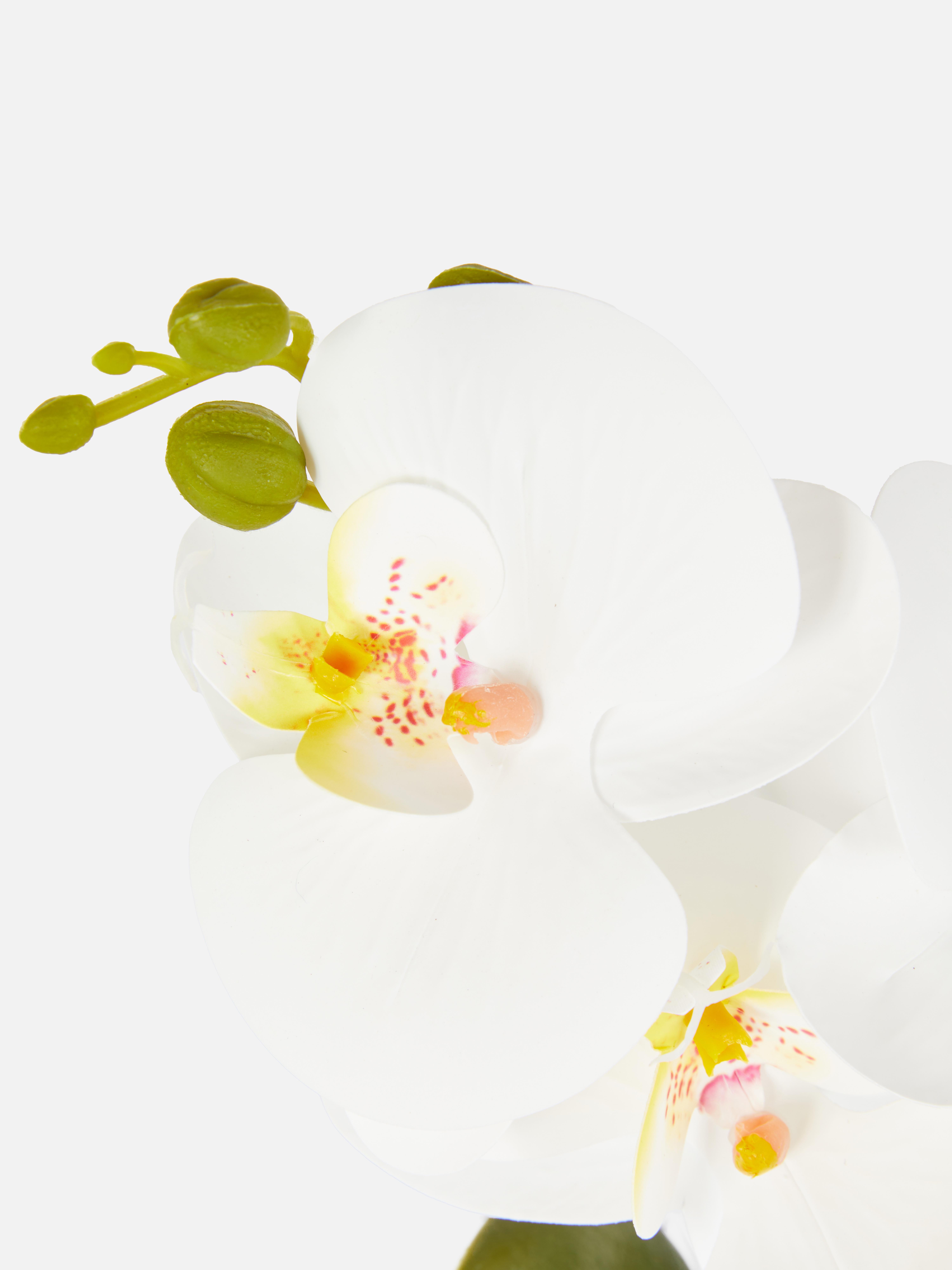 Faux Orchid In Pot