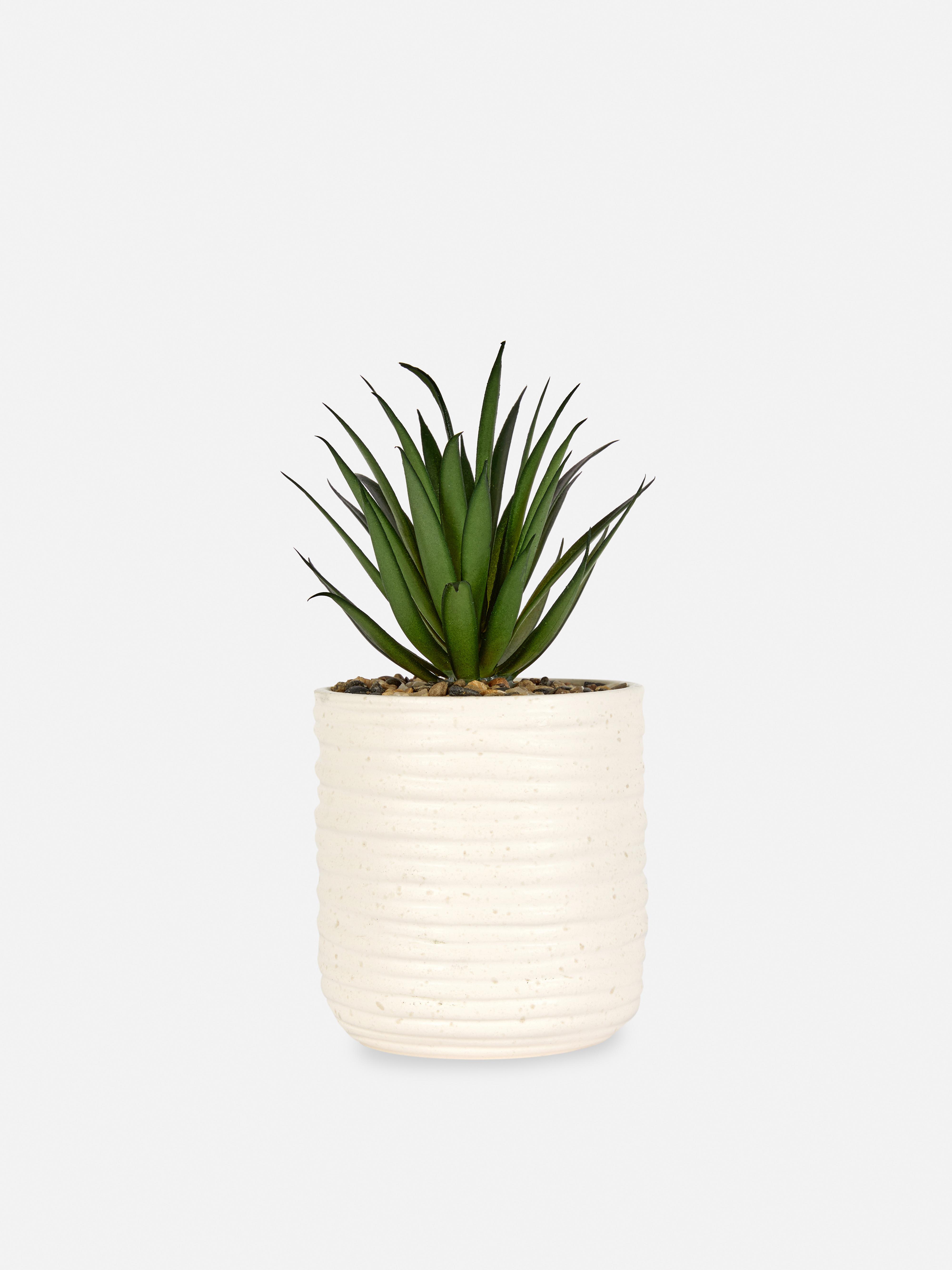 Künstliche Aloe vera im Keramiktopf