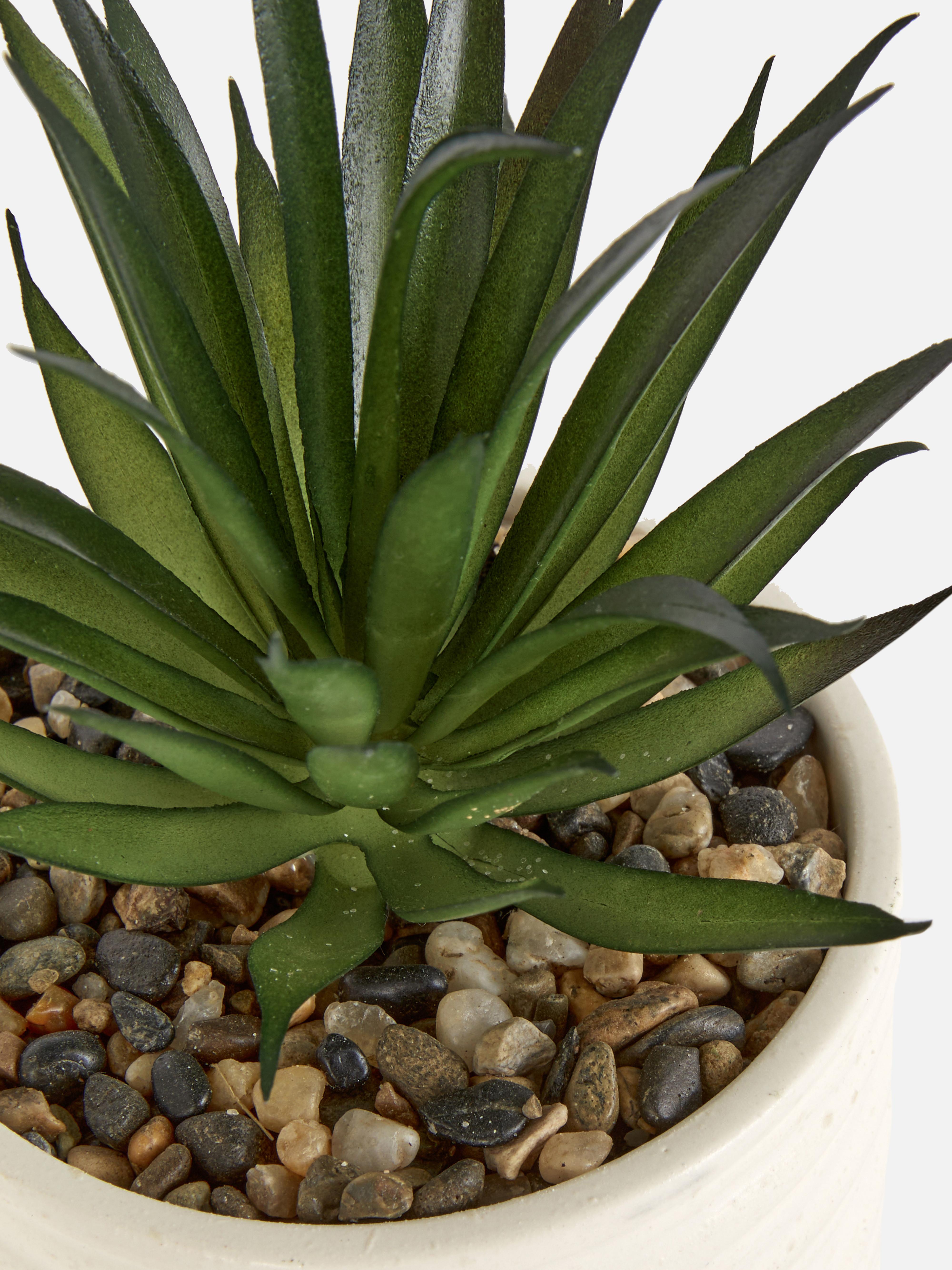 Aloe vera artificiel dans un pot en céramique