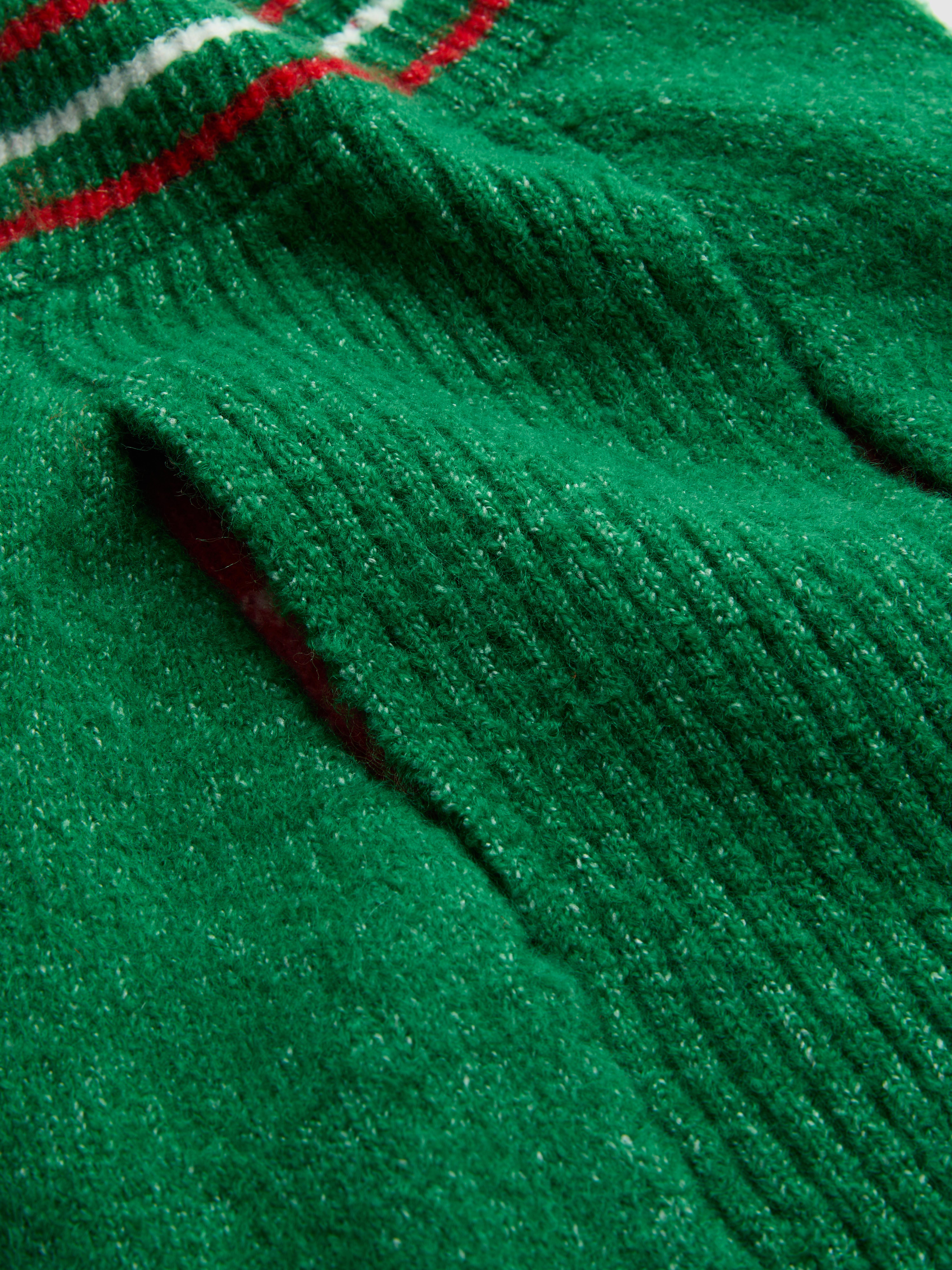 Christmas Elf Pet Outfit