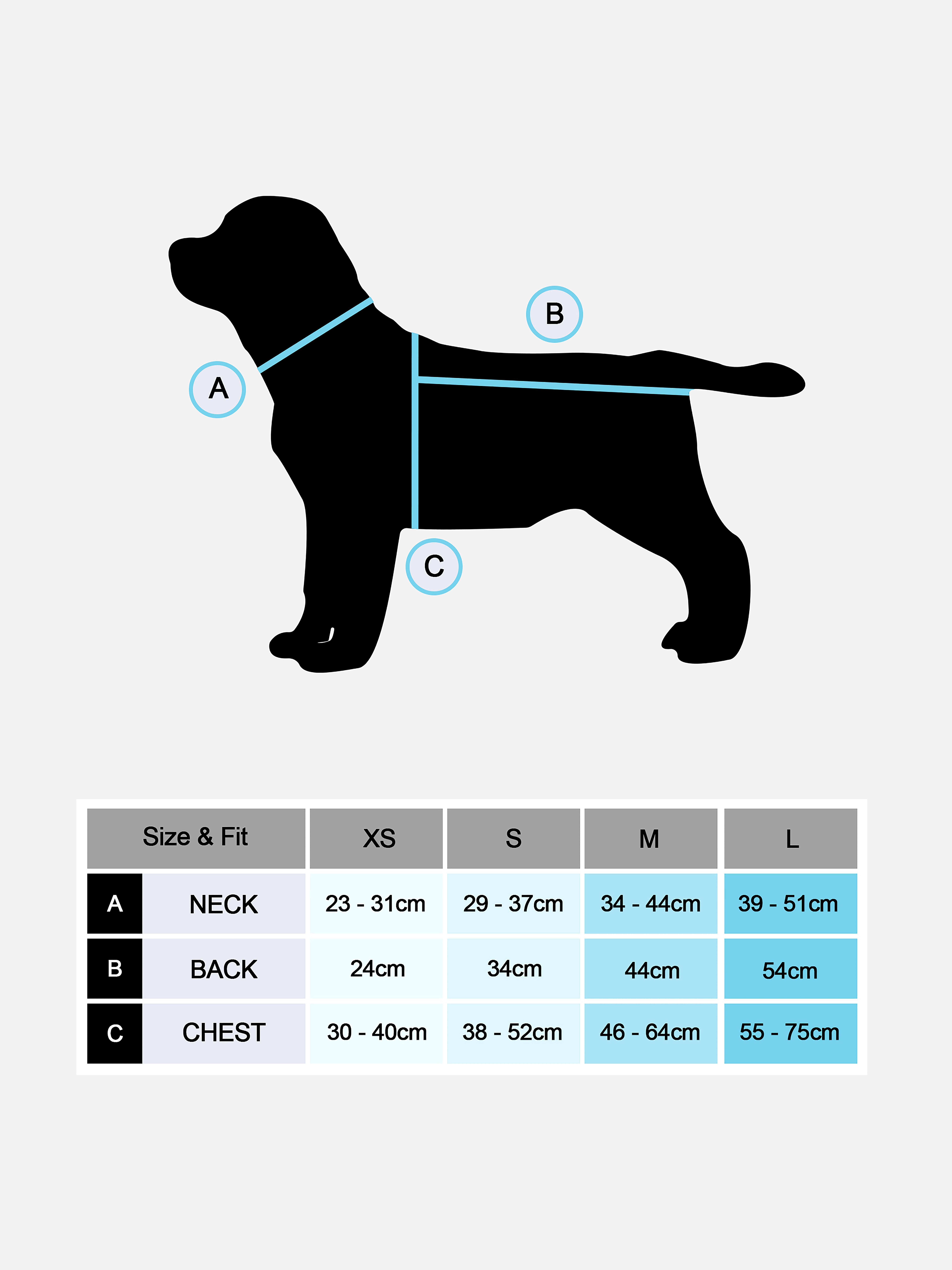 Christmas Elf Pet Outfit