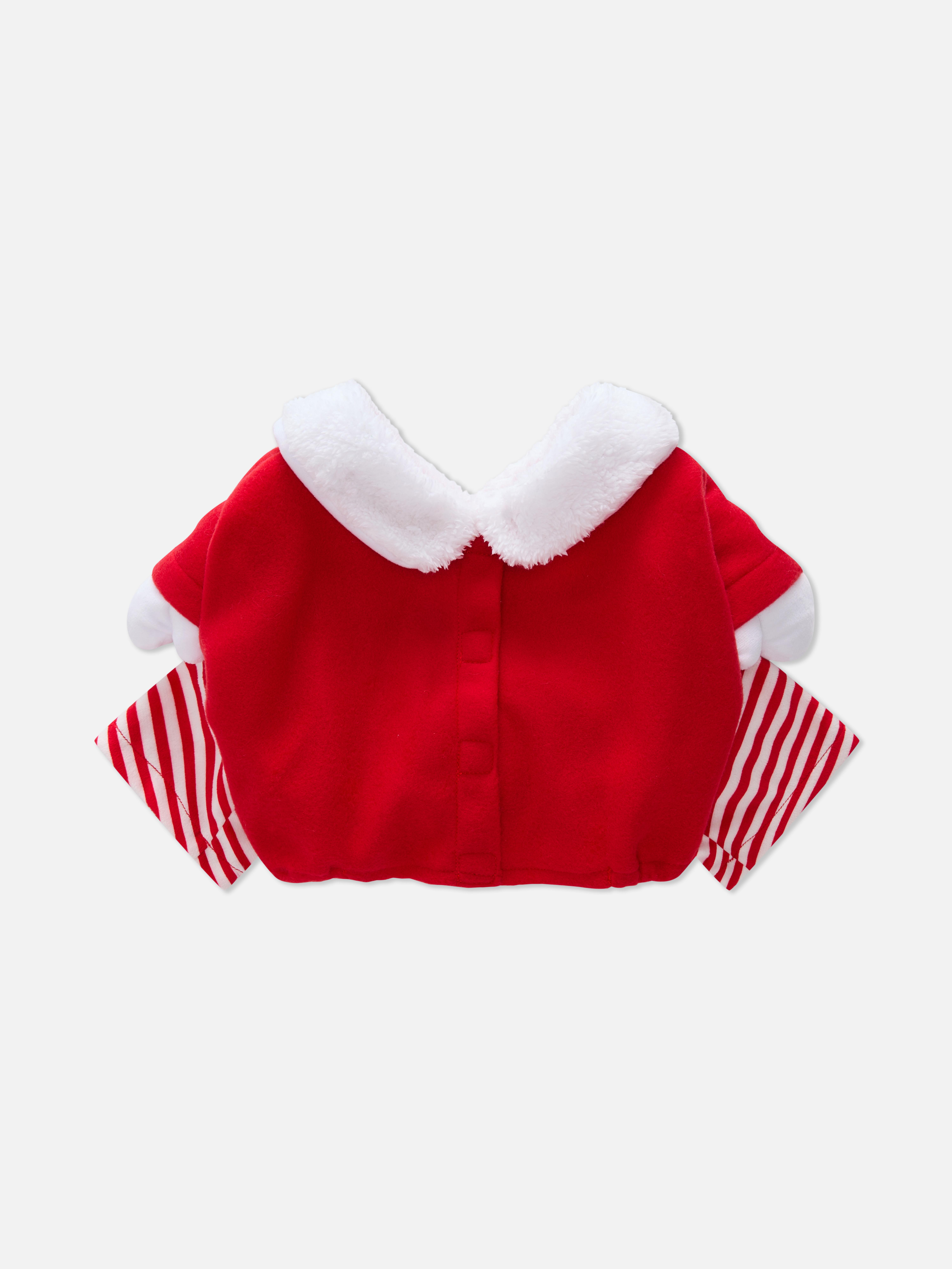 Santa Claus Pet Outfit